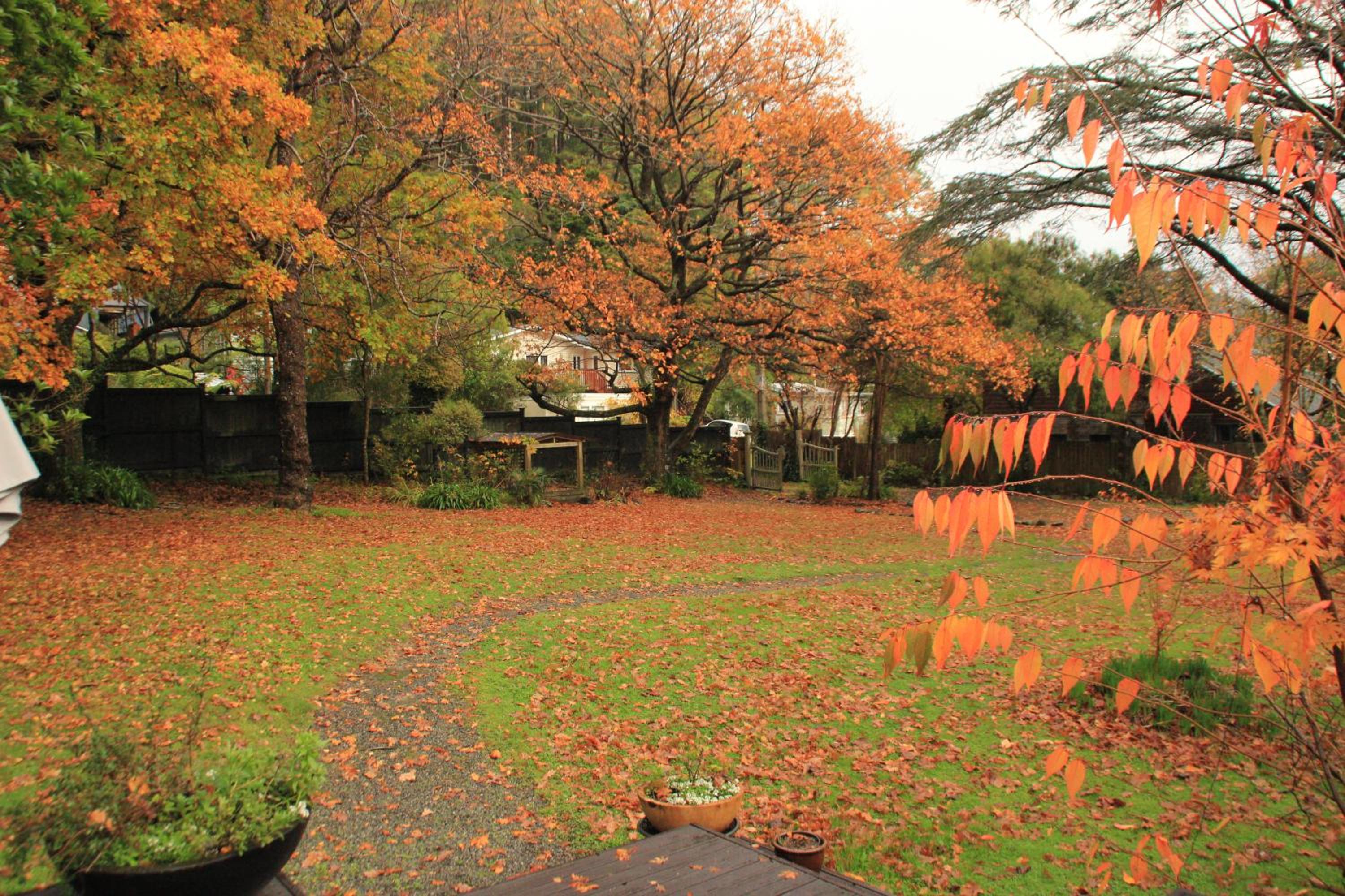 Pinehaven Cottage