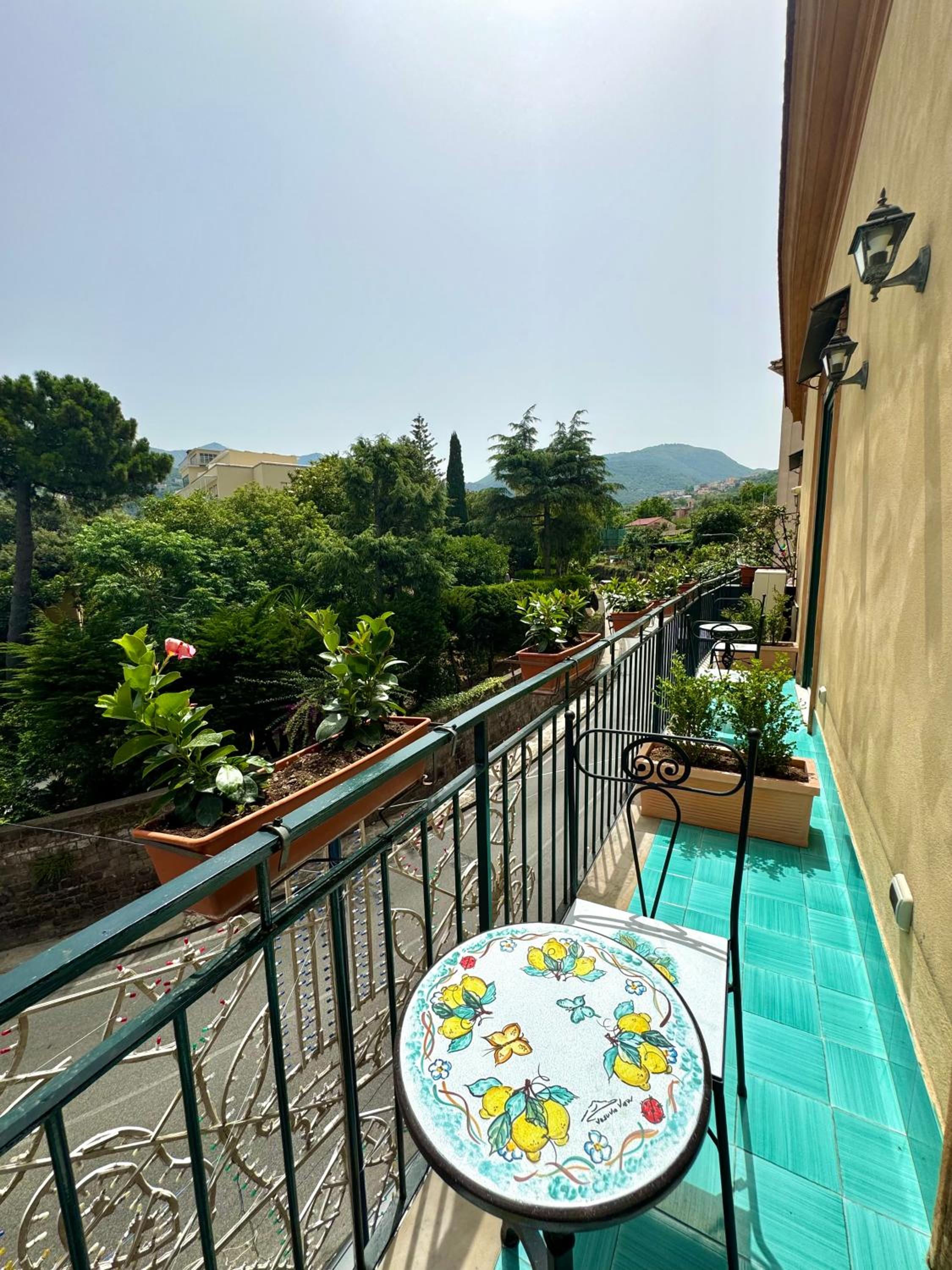 Vesuvio View