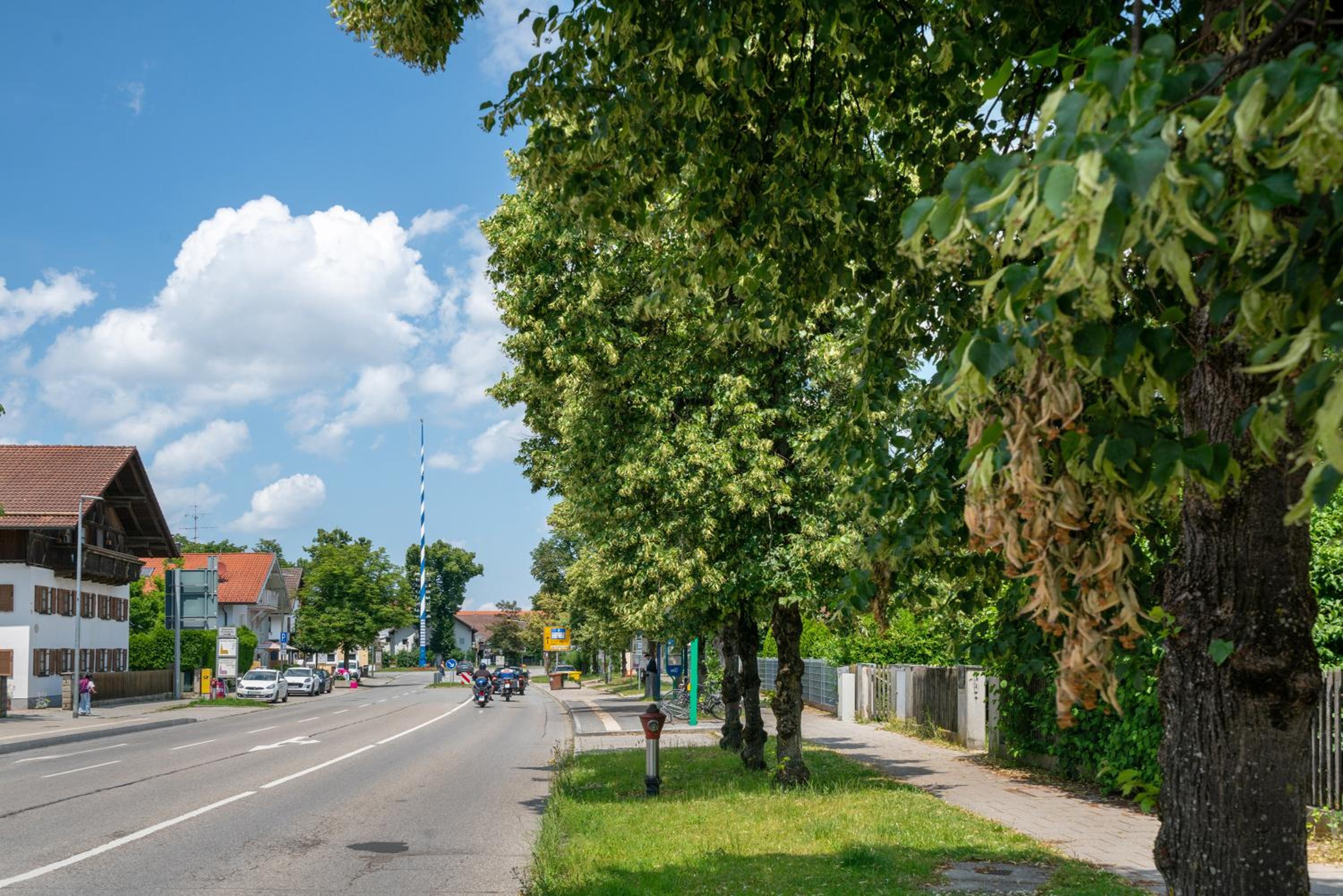 Knödelhof