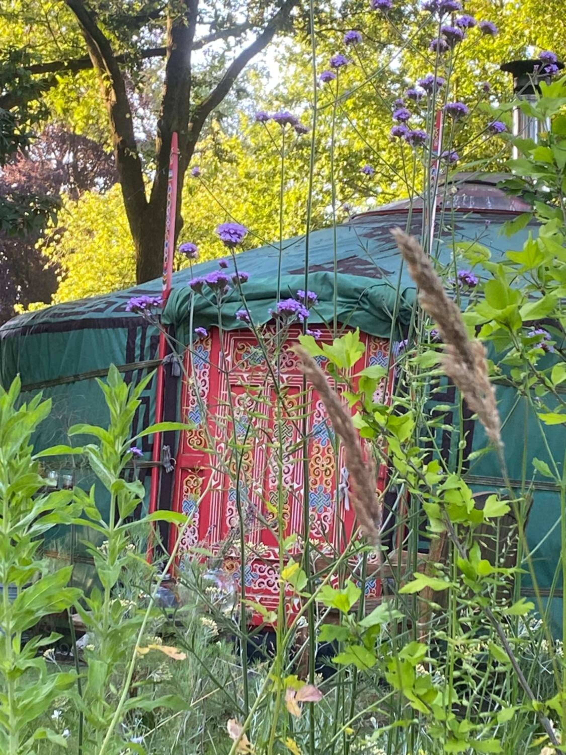 Het binnenerf yurt en keetjes view 2