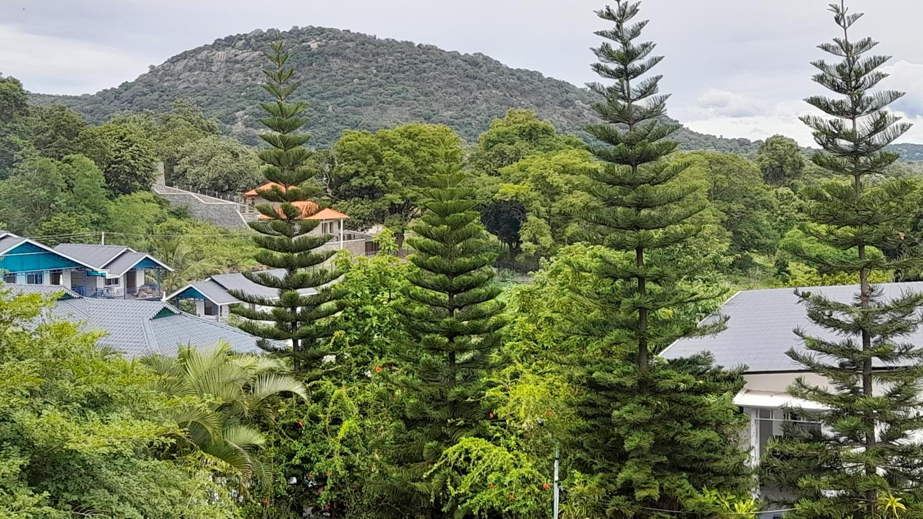 MGM Whispering Wind's Yelagiri view 2