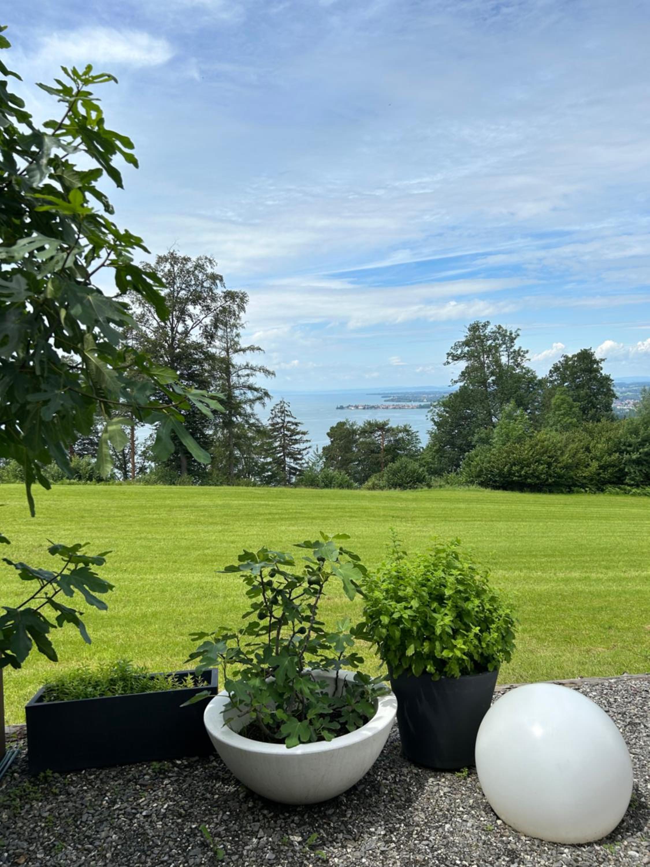 Seeblick Appartements Henle