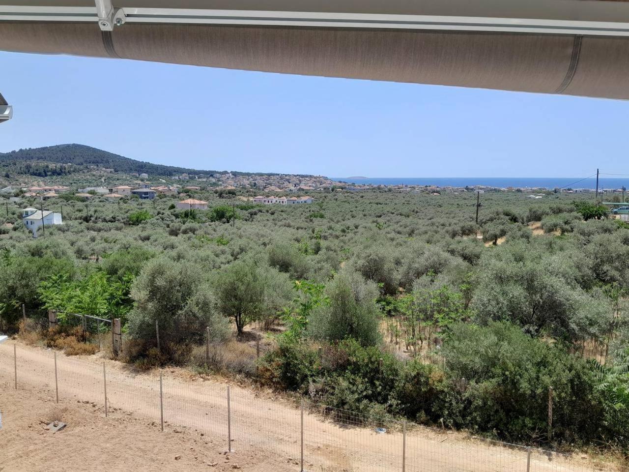 Photo 44