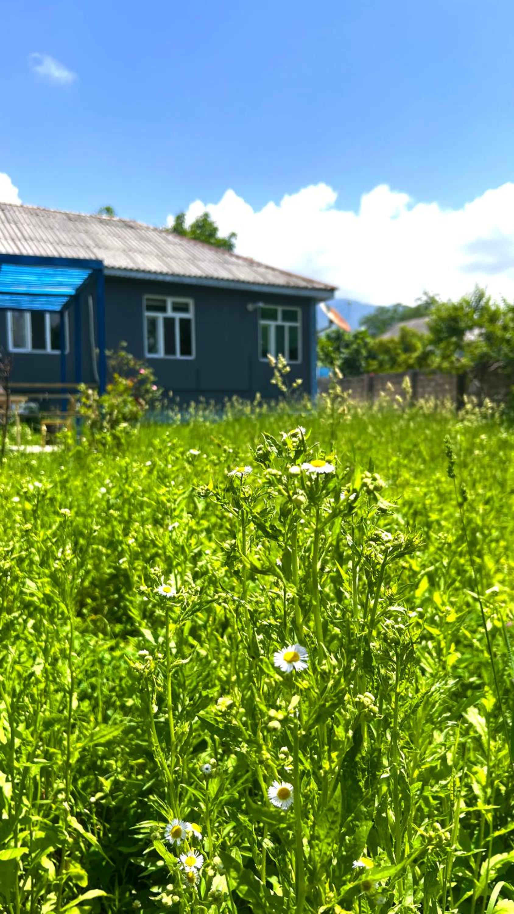 Mountain View Big Garden Guest House in Gabala