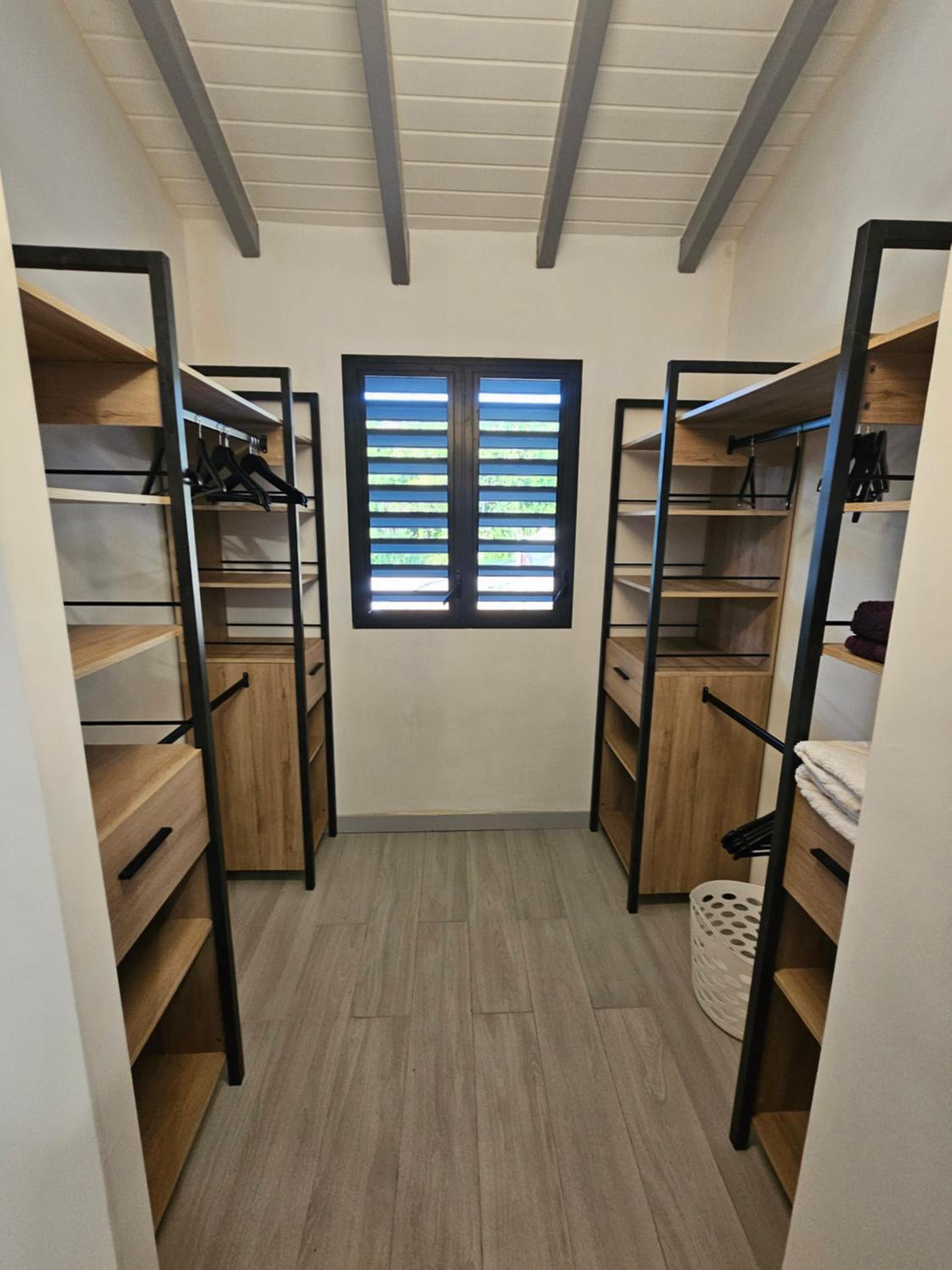 Habitation Iguana