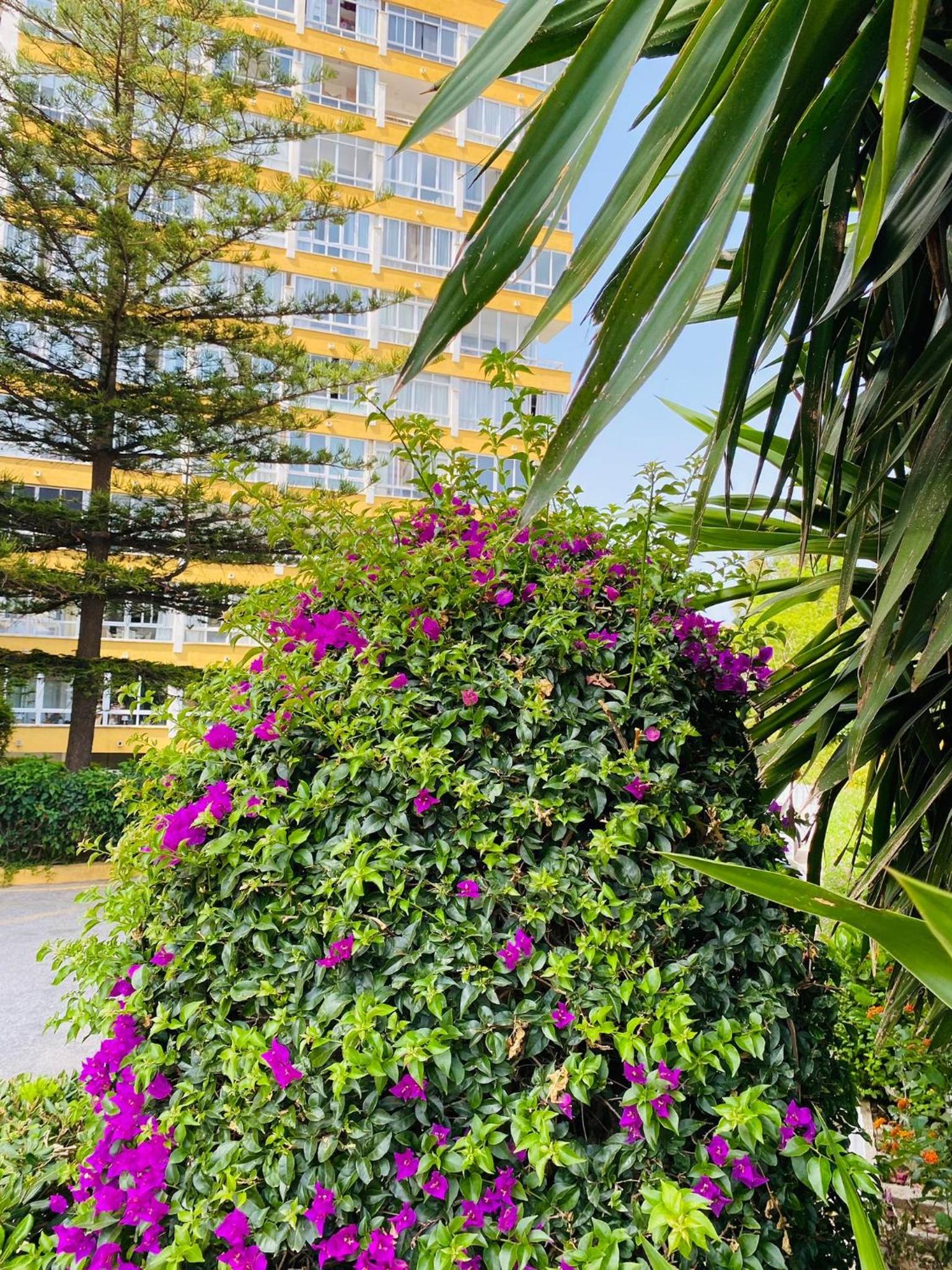 Terrazas del Sol