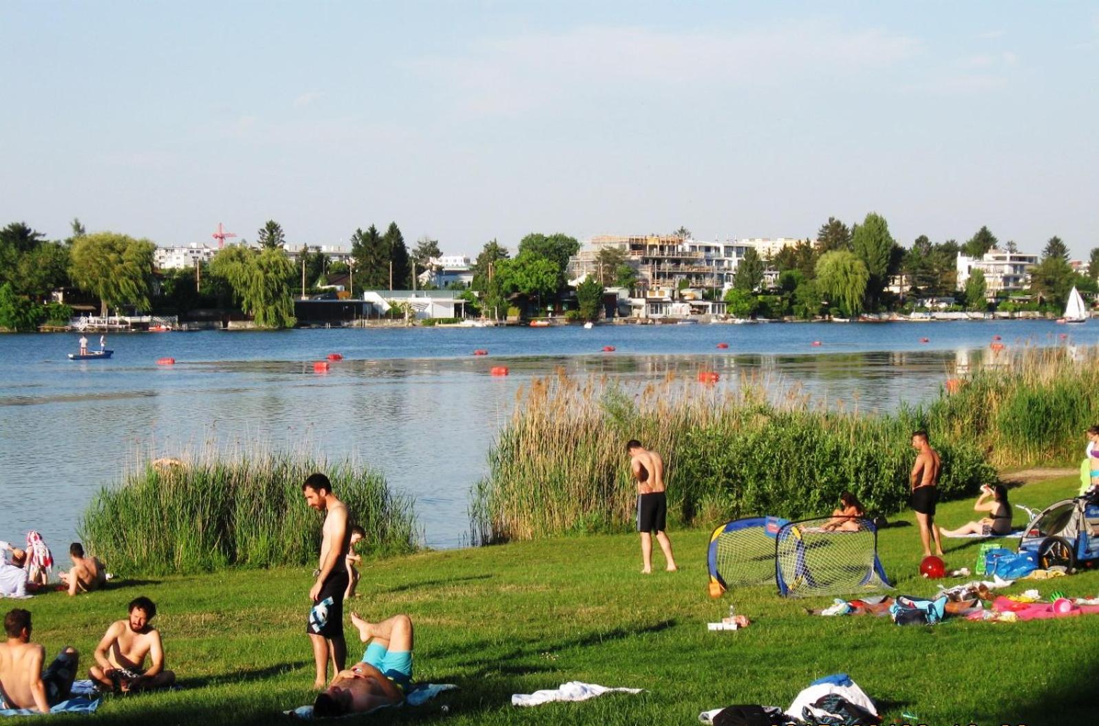 Yuki's Place - UN-VIC, Danube Beach and Subway near to Downtown Vienna