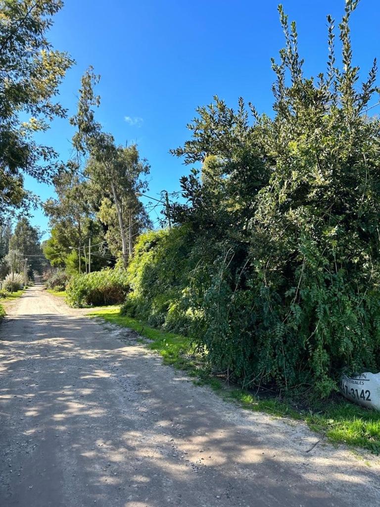 El refugio de los bosques