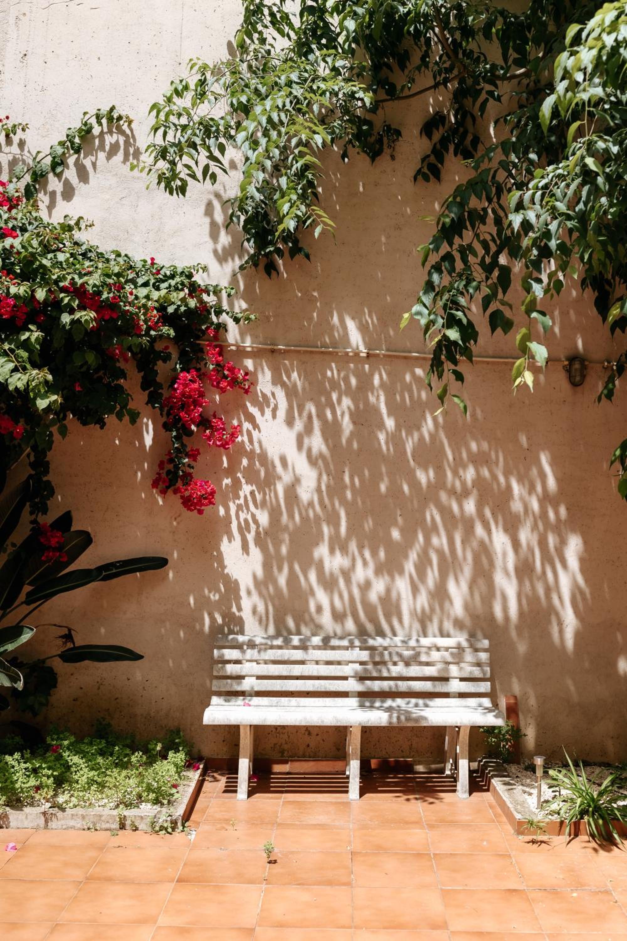 Photo 58