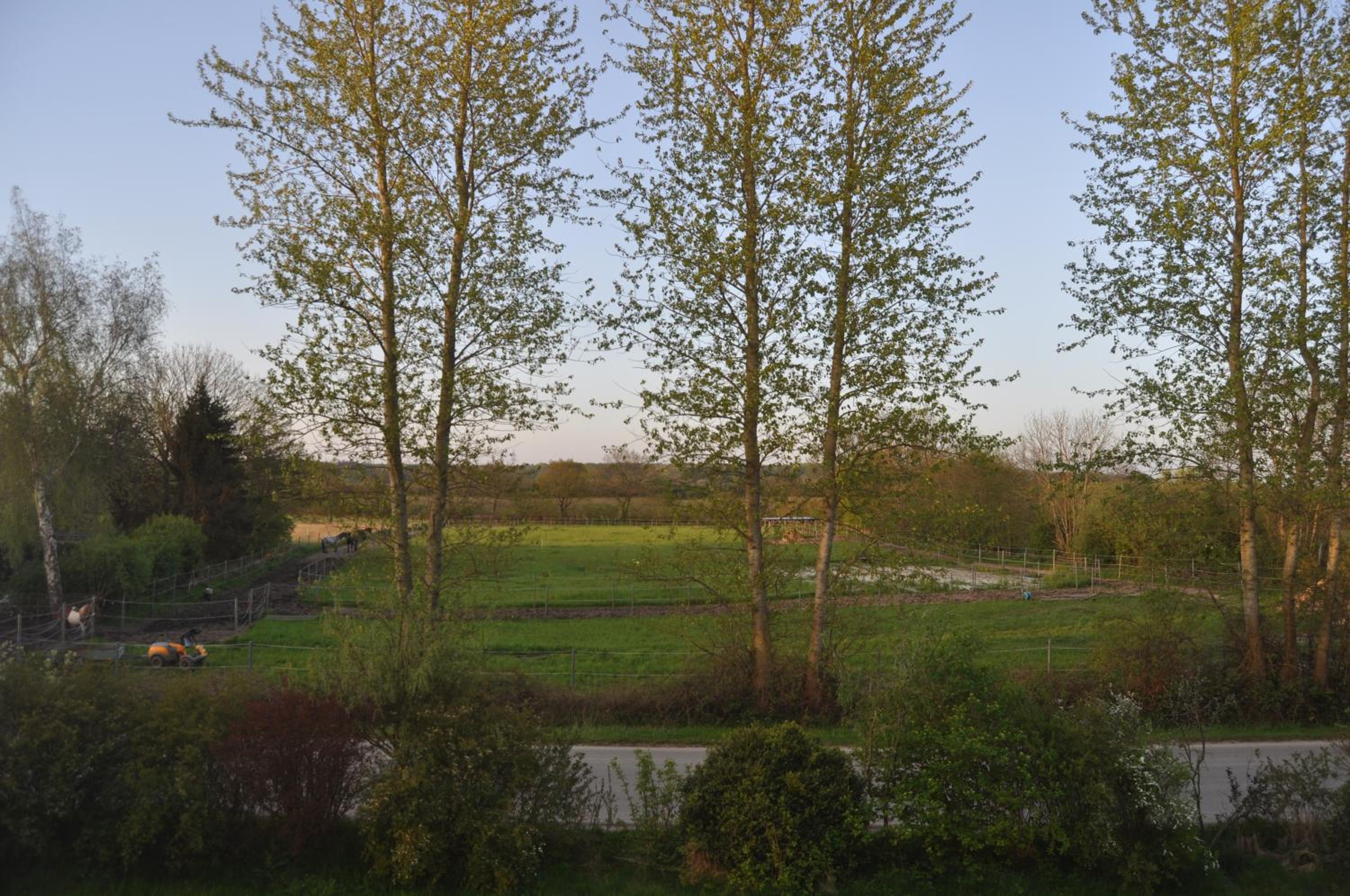 Ferienwohnung kleiner und großer Stern