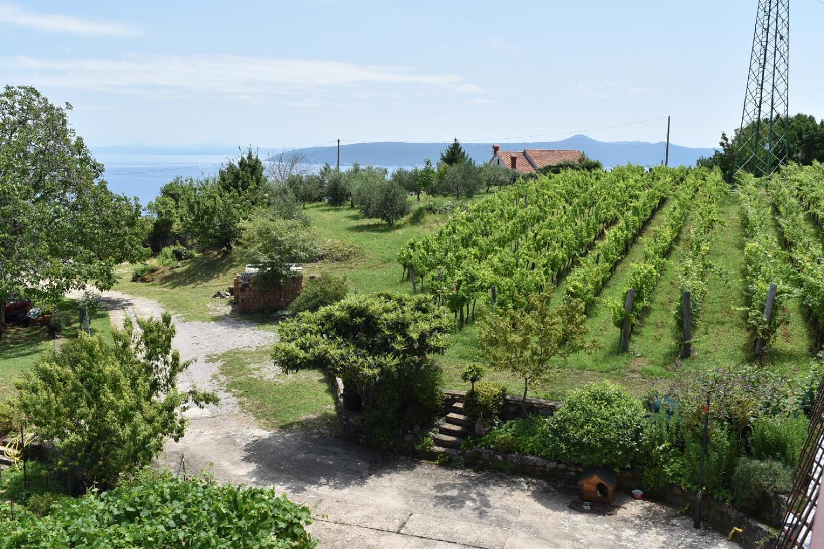 Apartman Peršić view 3
