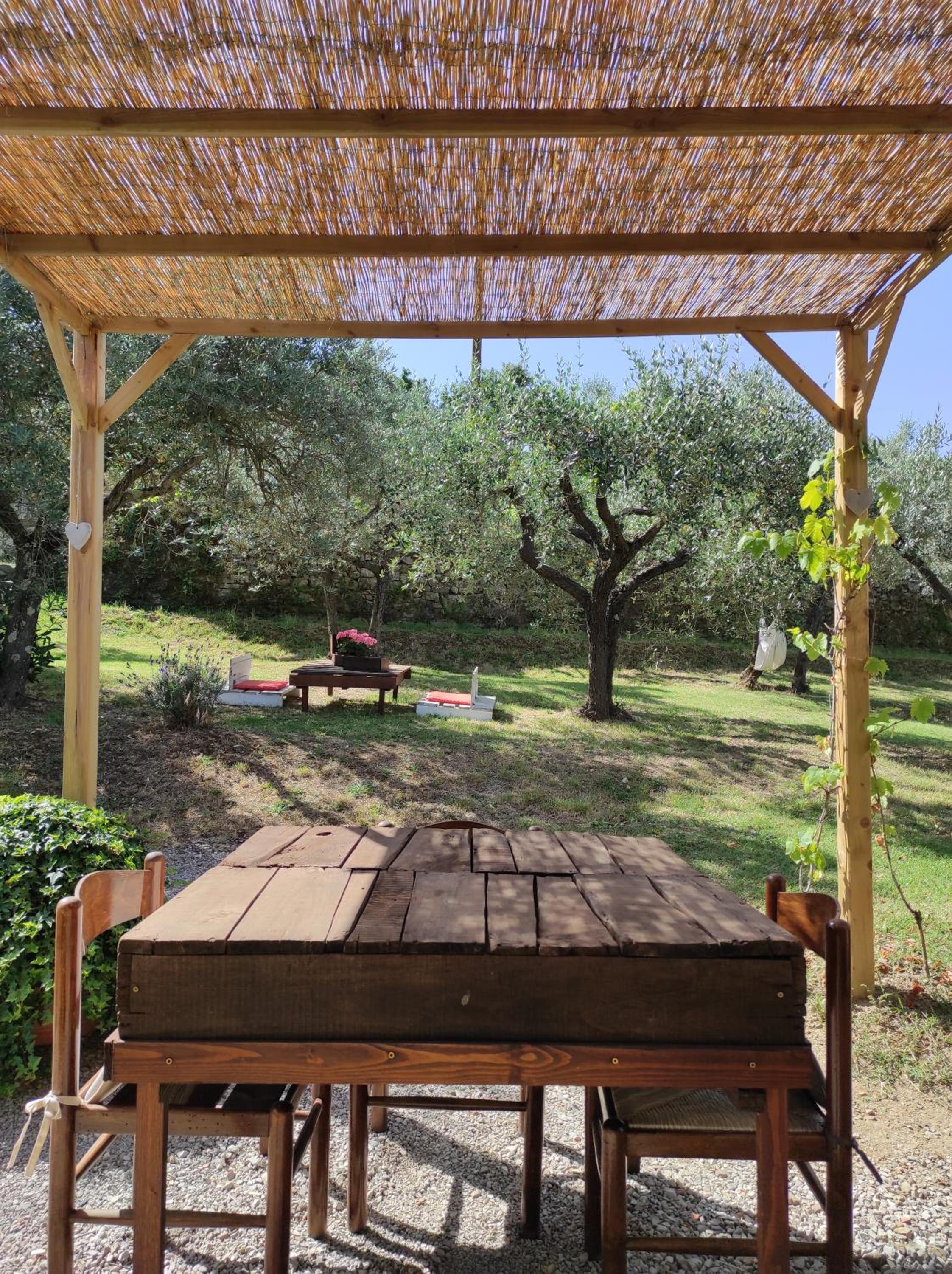 Cortona Vacations - La Casa Tra Gli Ulivi - Property Image 18