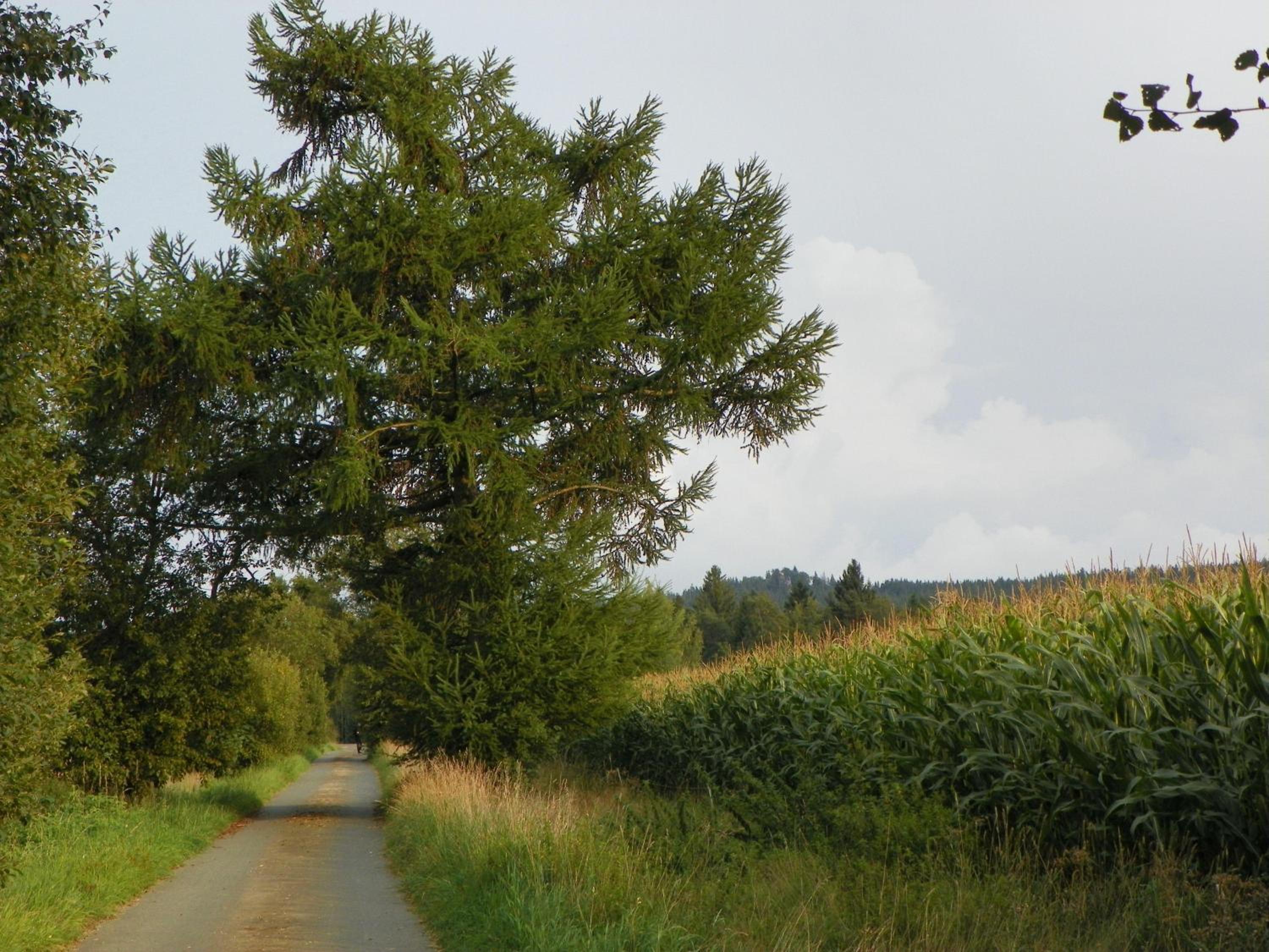am-Weissenstaedter-See