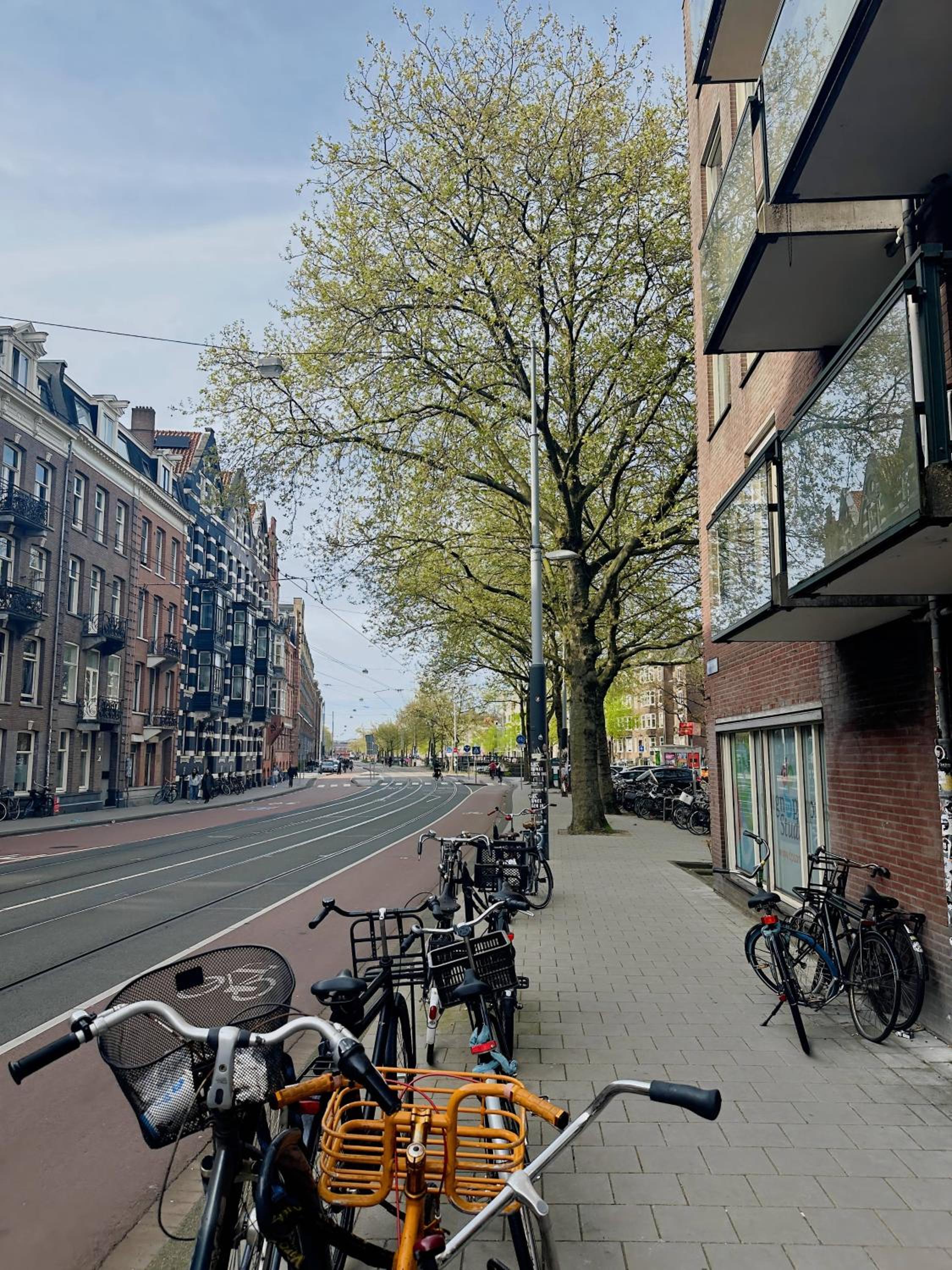 Beautiful apartment in the heart of Amsterdam!