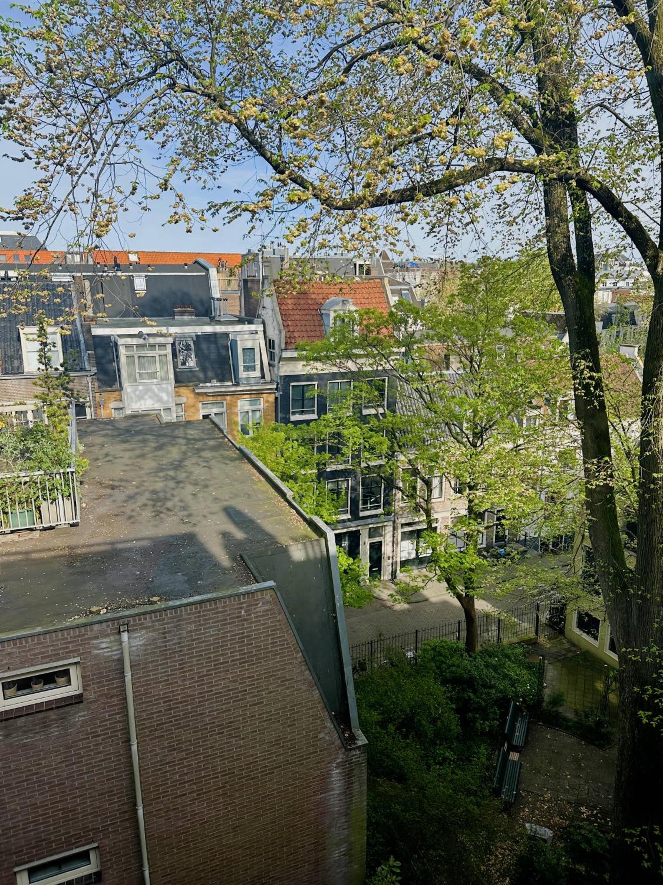 Beautiful apartment in the heart of Amsterdam!