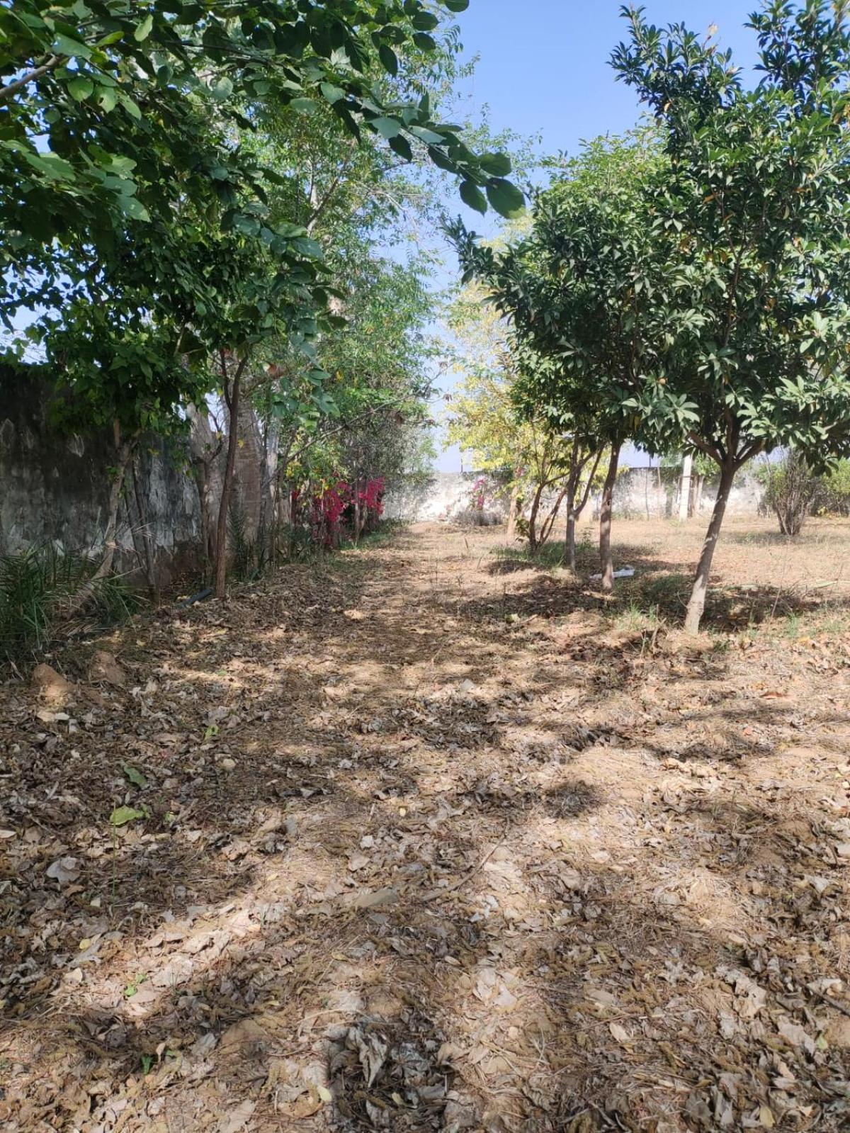 Photo 25