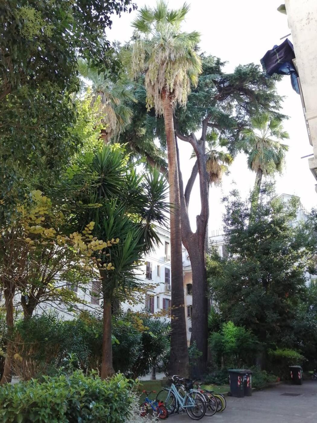 Il Cortile - Appartamento nel cuore di Testaccio