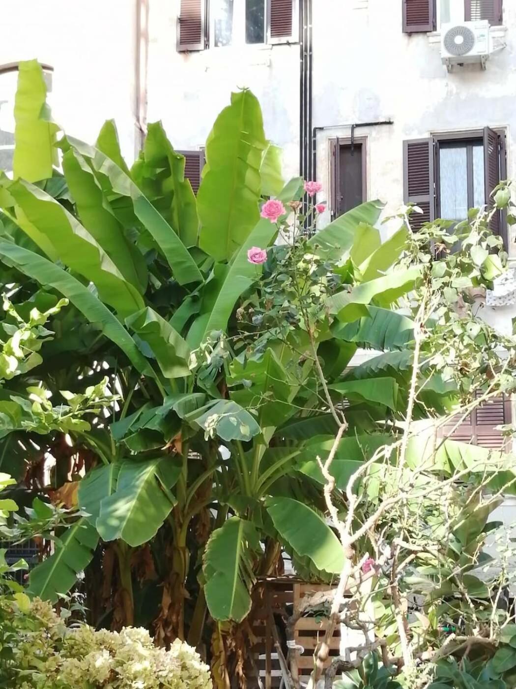 Il Cortile - Appartamento nel cuore di Testaccio