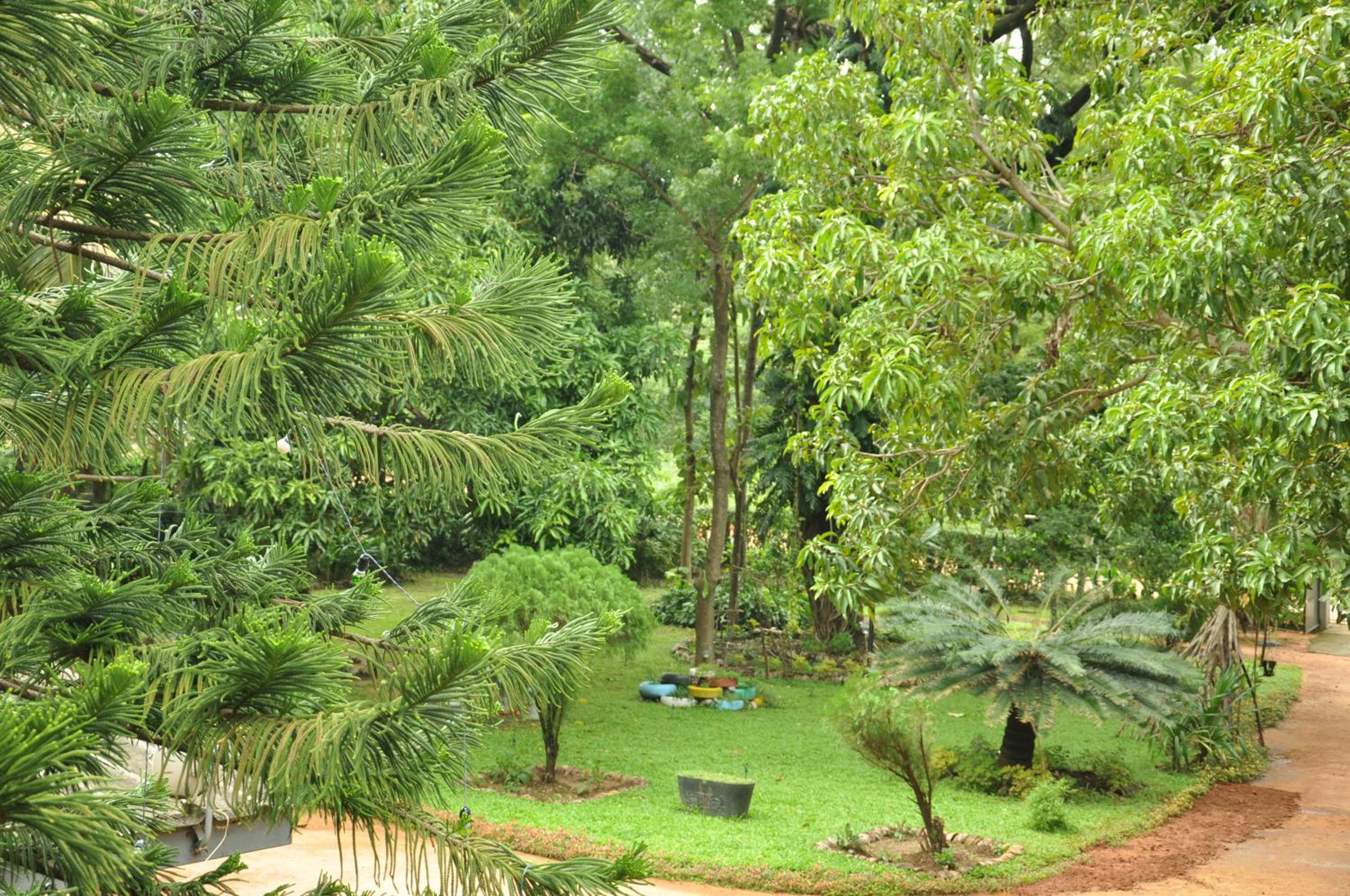 Sujatha Tourist Rest