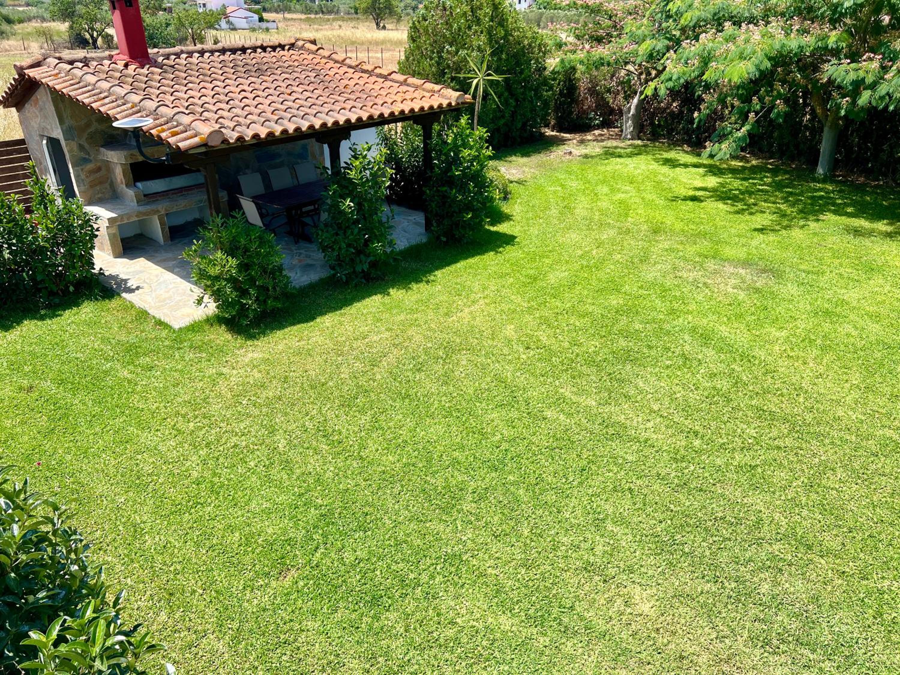 Photo 40