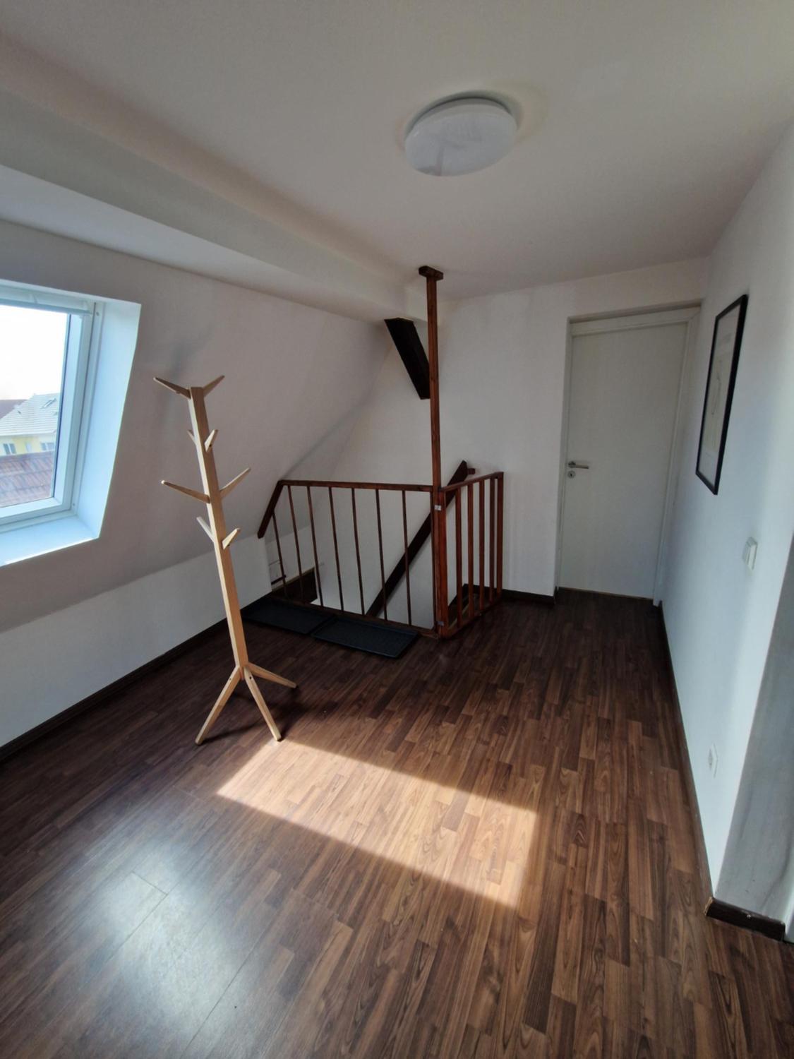 Penzini Monteurzimmer Apartment Au am Rhein Rastatt Karlsruhe nahe Messe