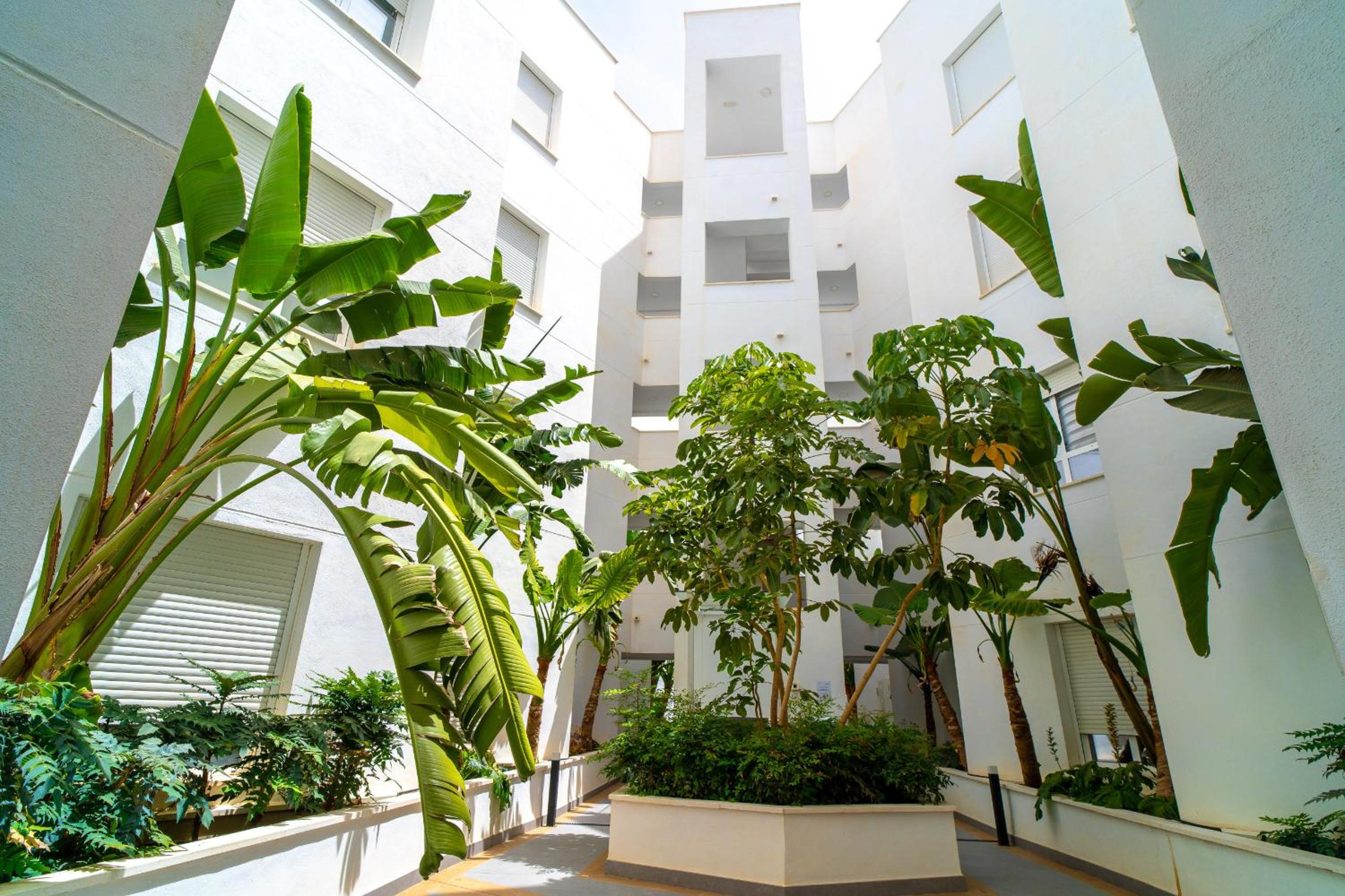Luxury Living Isea 3114 by Casasol view 2