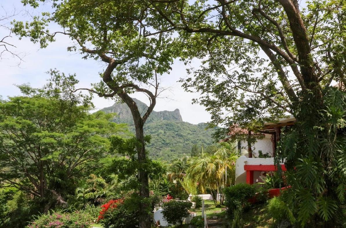 Photo 118