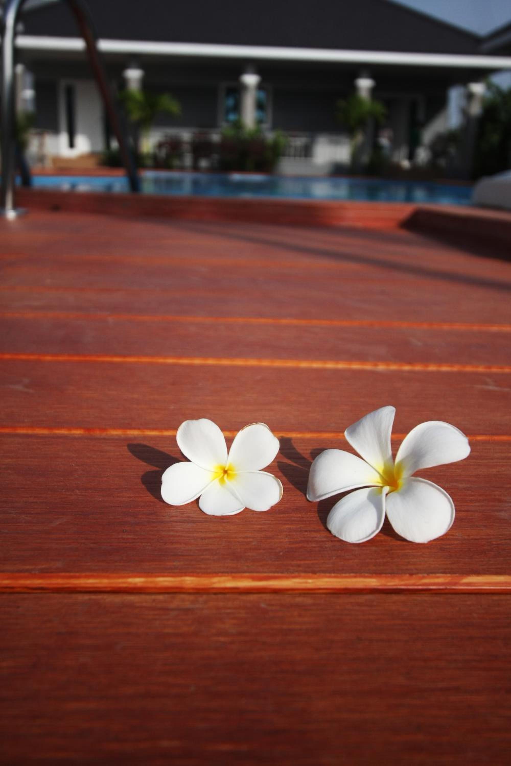 Rongsang Resort