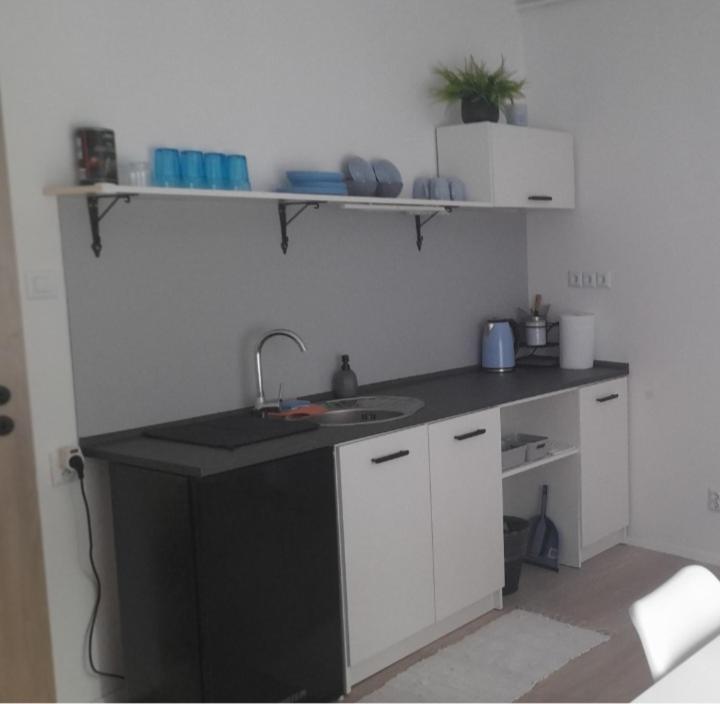 Apartmán Centro
