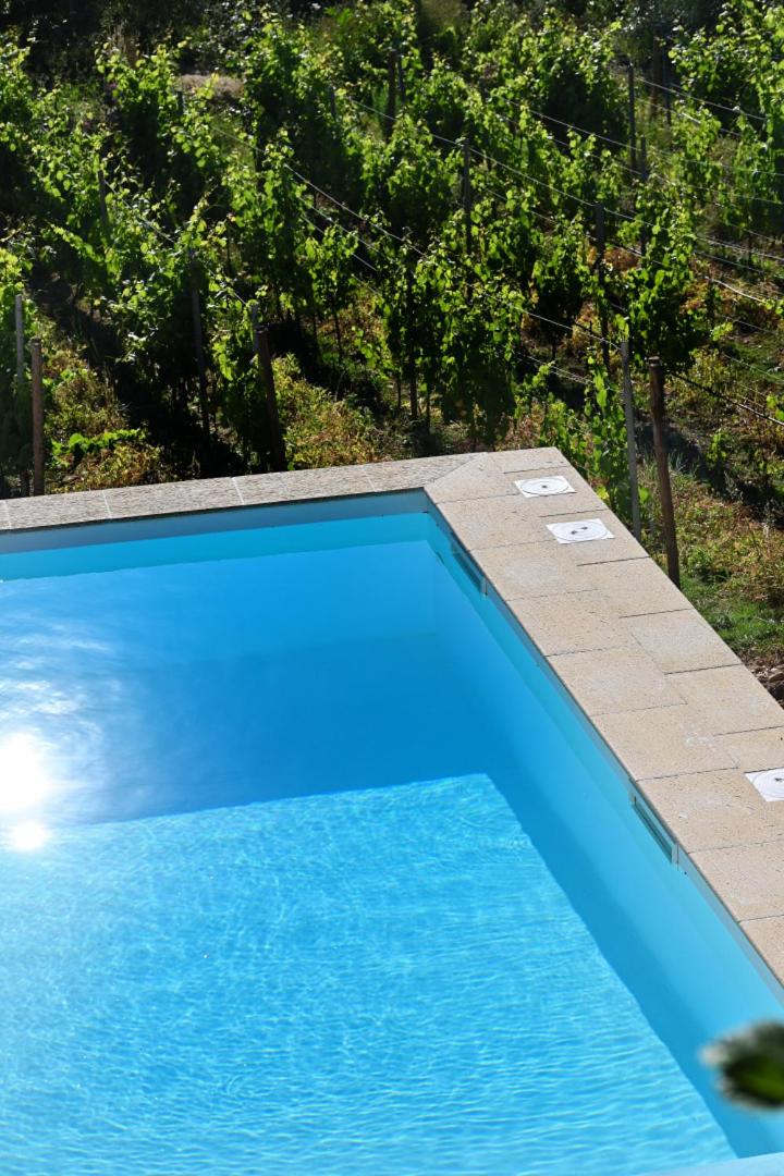Quinta da Aldeia Nova view 4