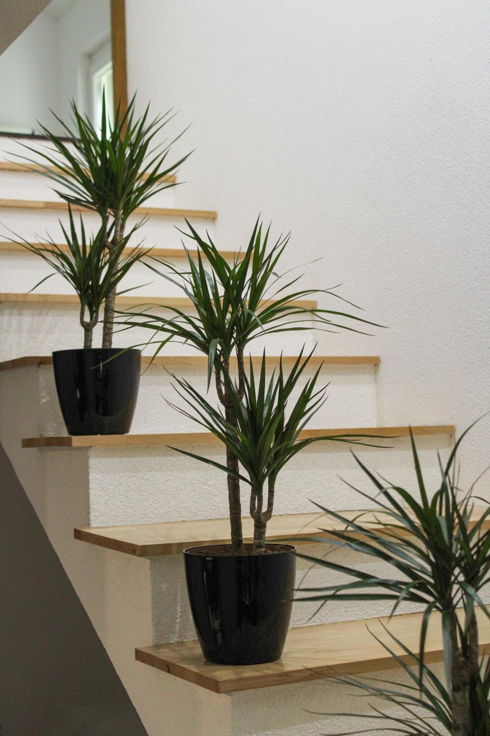 Apartman Nadja&Dani