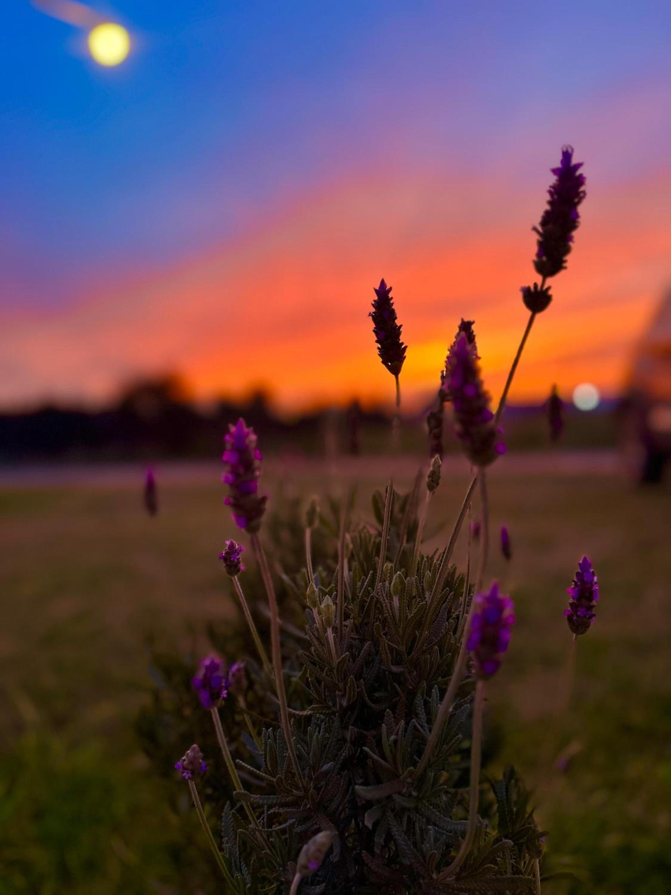 Puesta de Sol Casa Quinta
