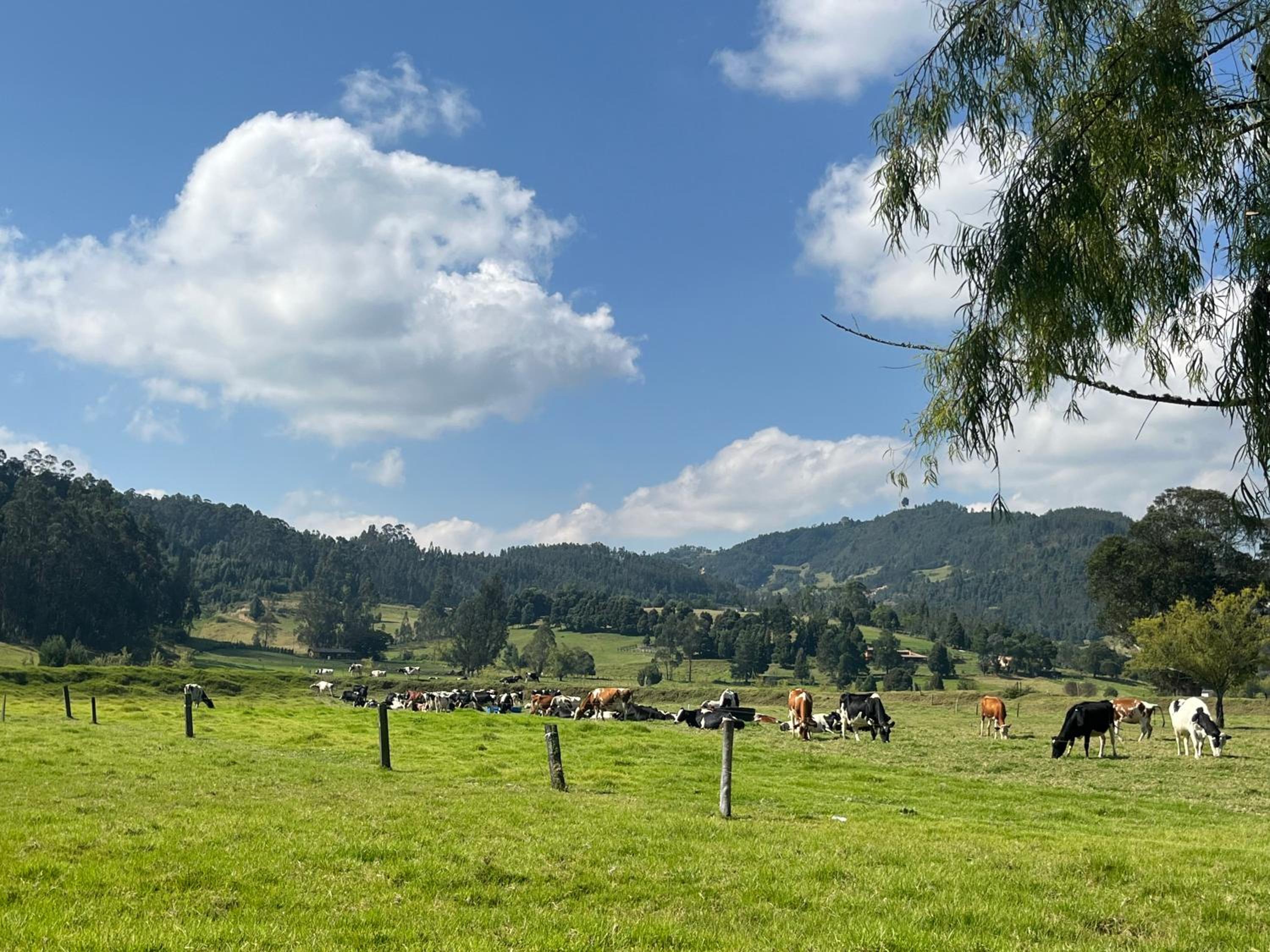Huitaca Glamping