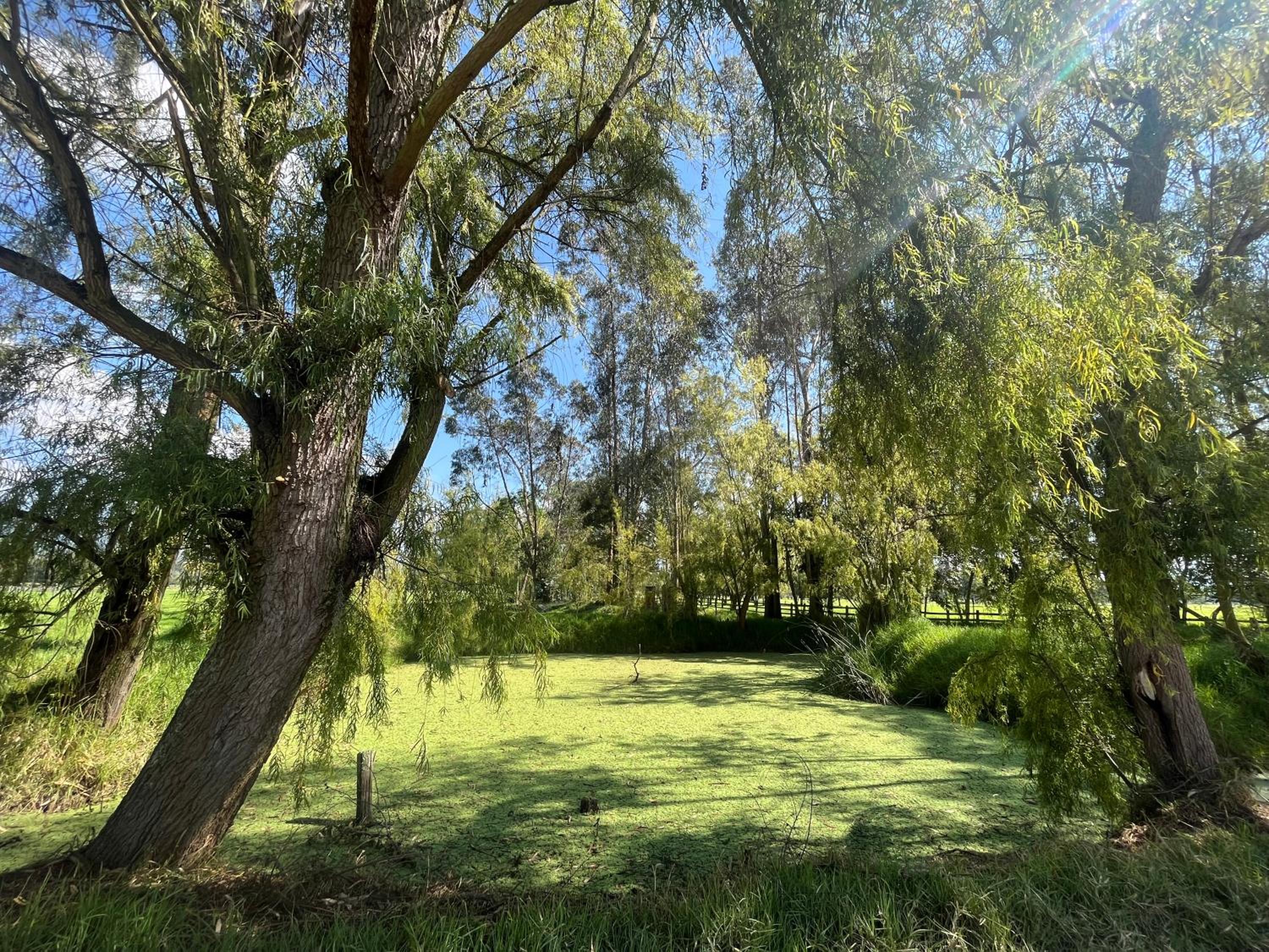 Huitaca Glamping