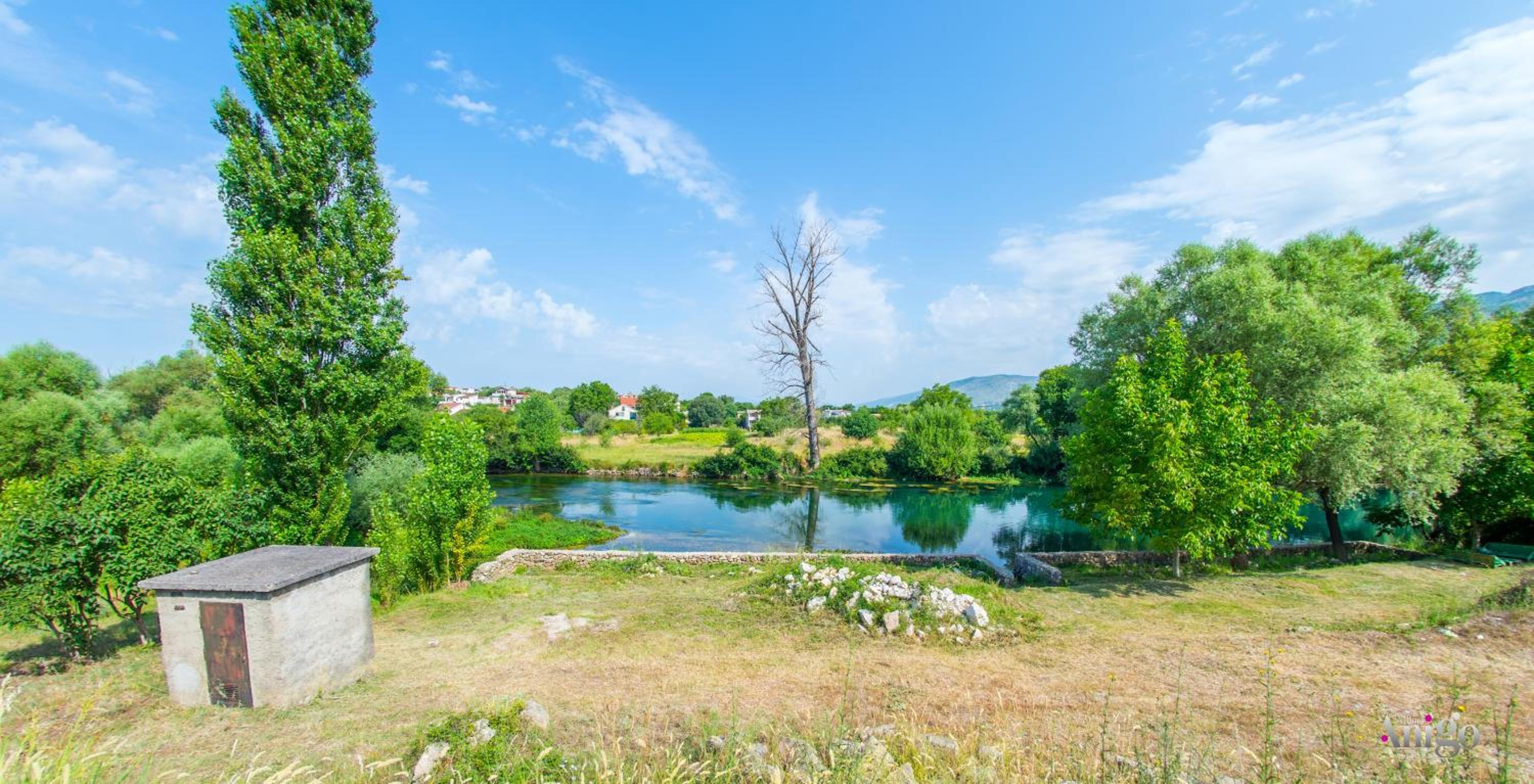Bunska Venera