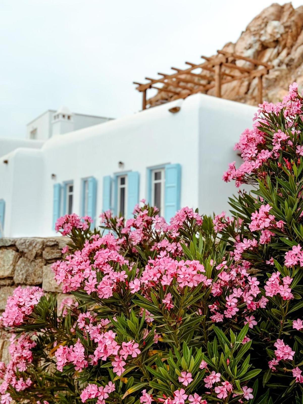 Villa Stef