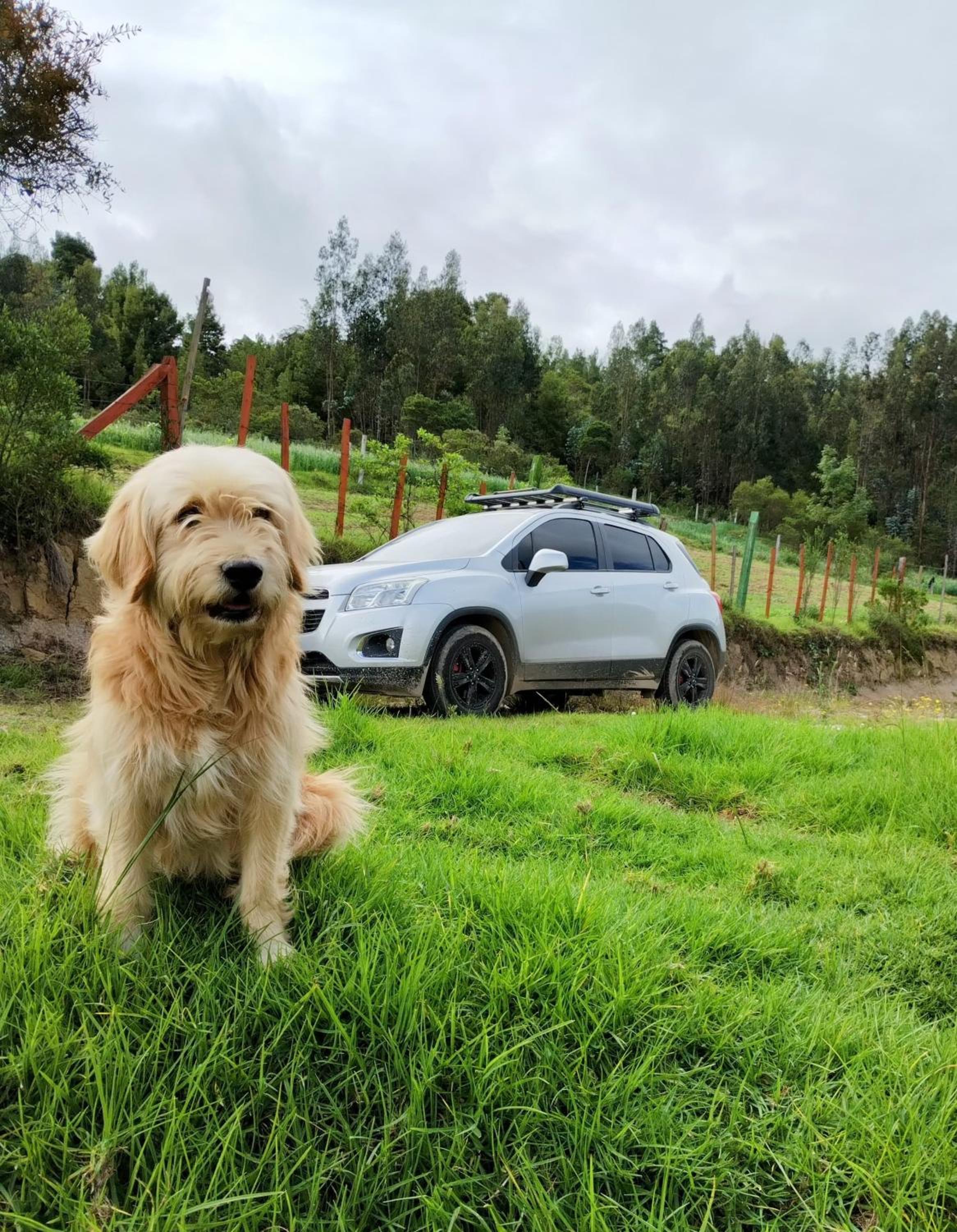 Huitaca Glamping