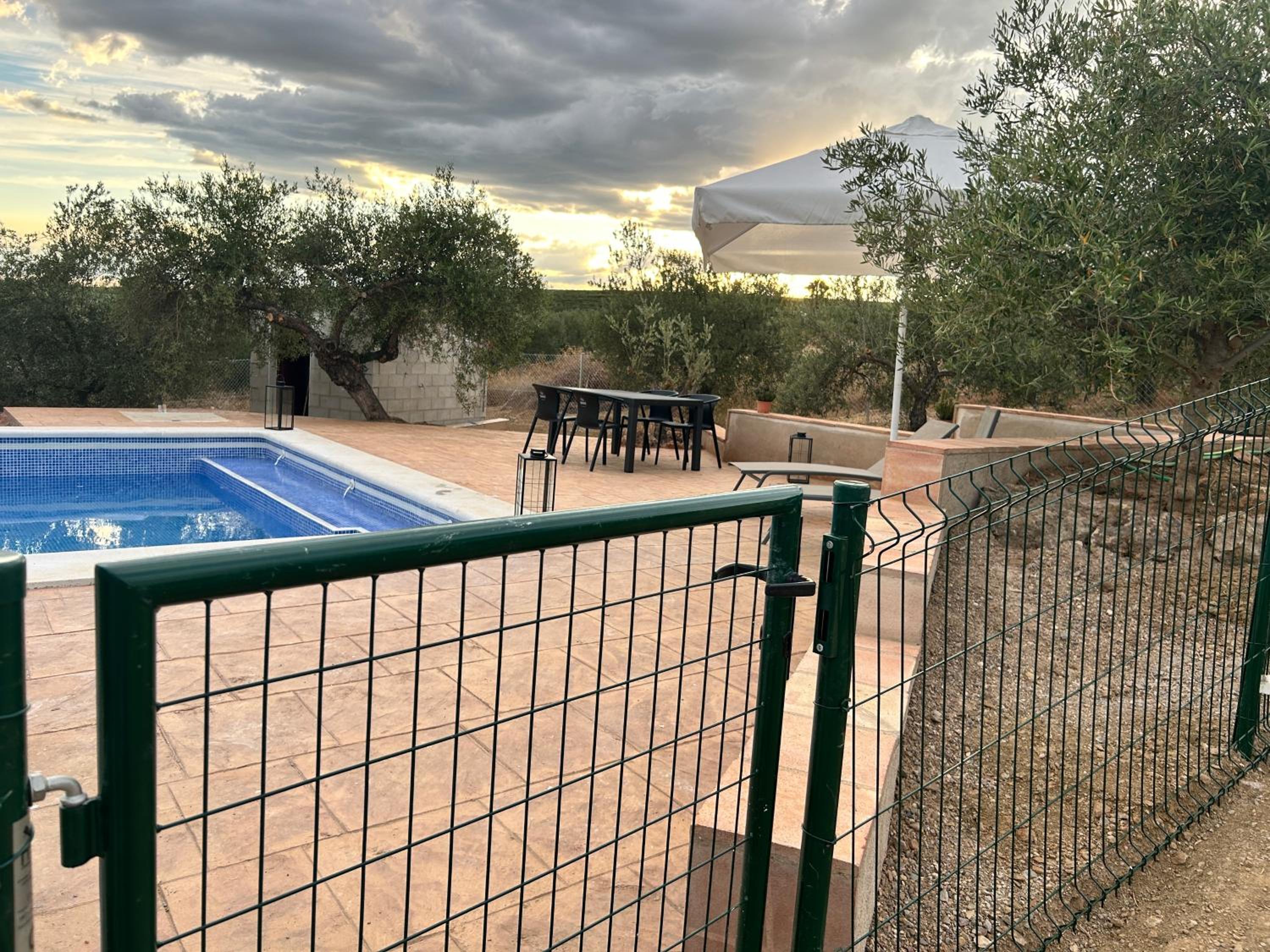 Casa Caraza. Un olivar con vistas al castillo de Juego de Tronos view 3