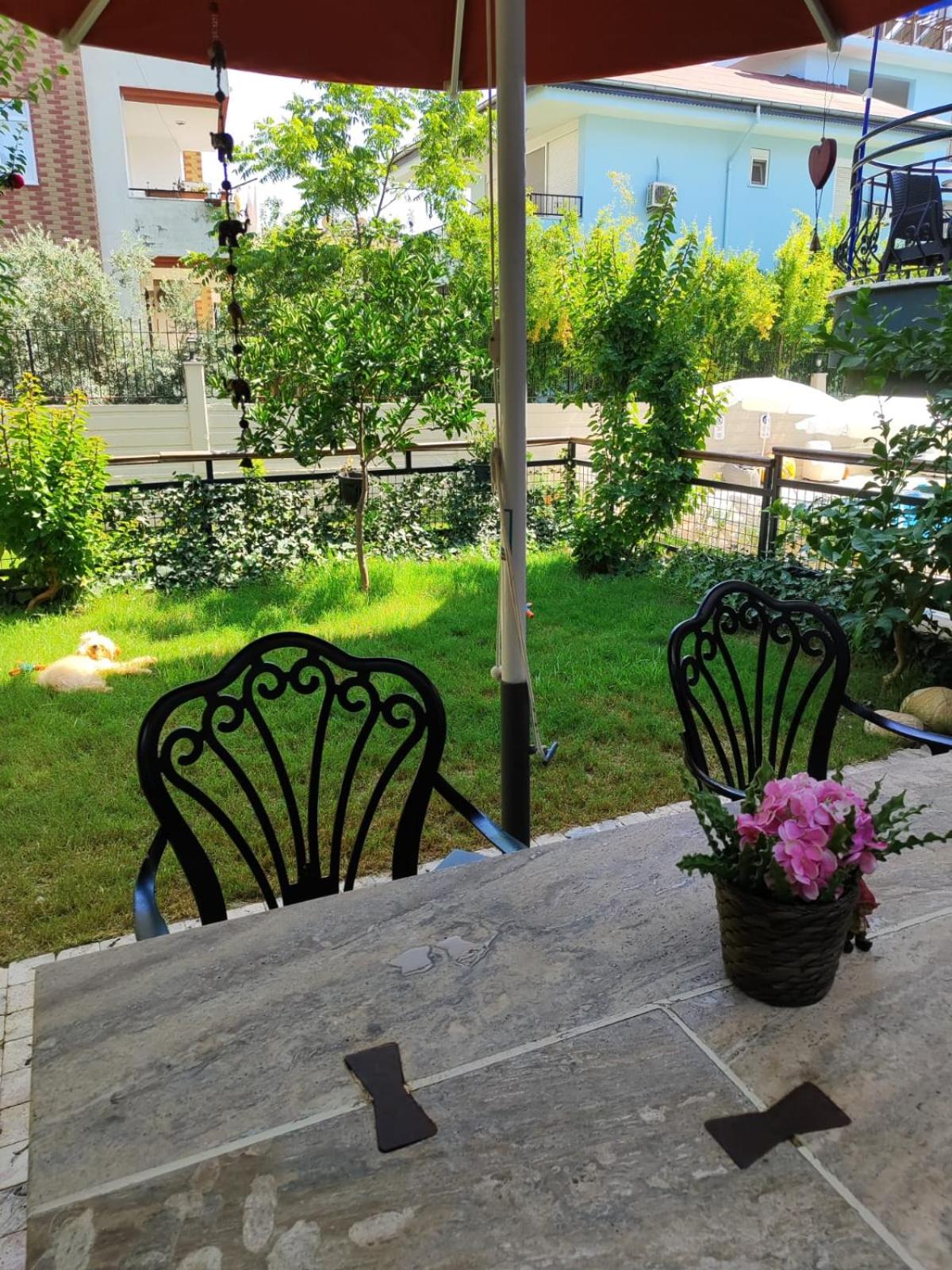 Photo 8