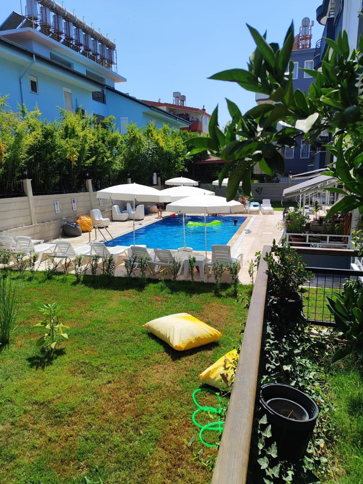 Photo 12