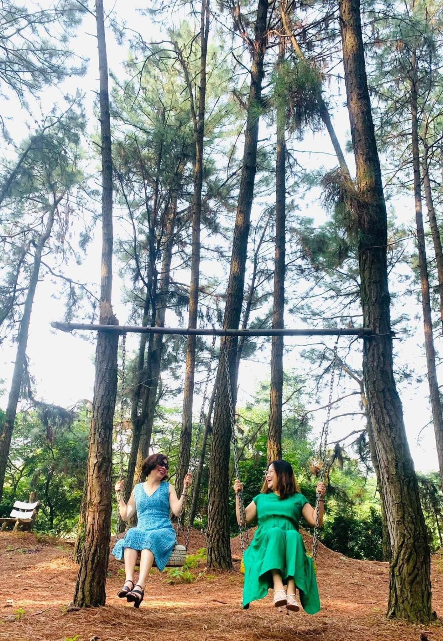 Pine Hill Villas & Camping view 5