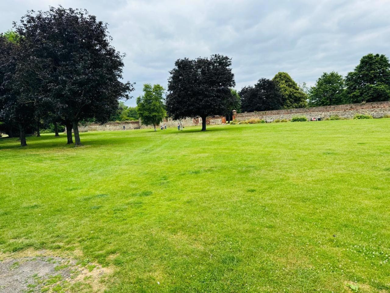 TM Homes view 3