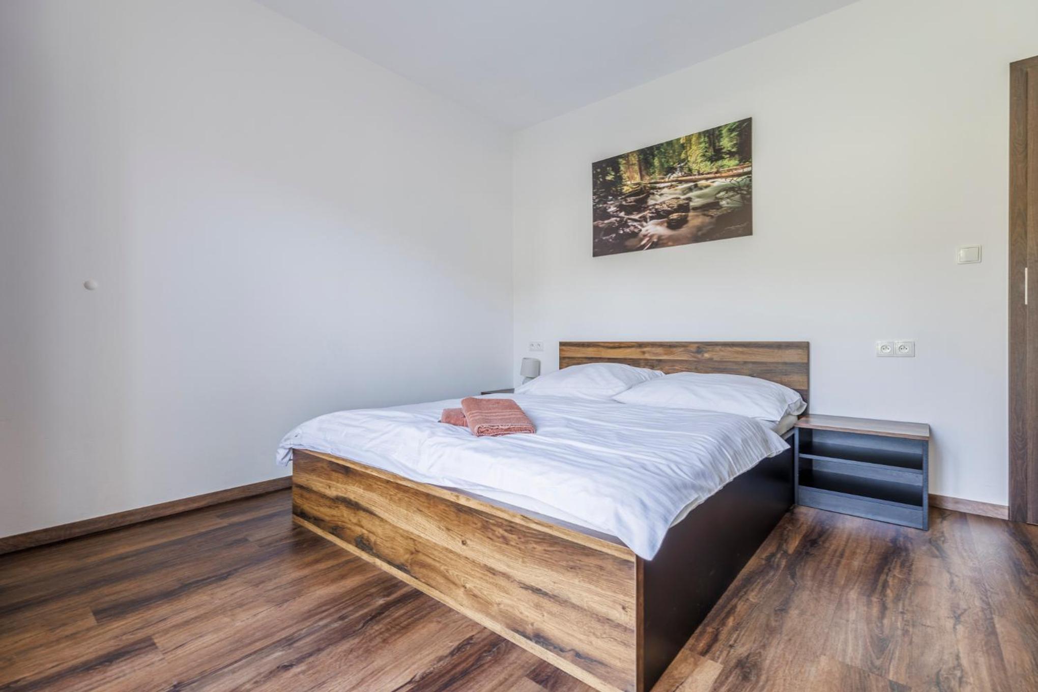 HP APARTMÁNY SKIAREÁL- Buková Hora v Orlických horách 100 m od lanovky