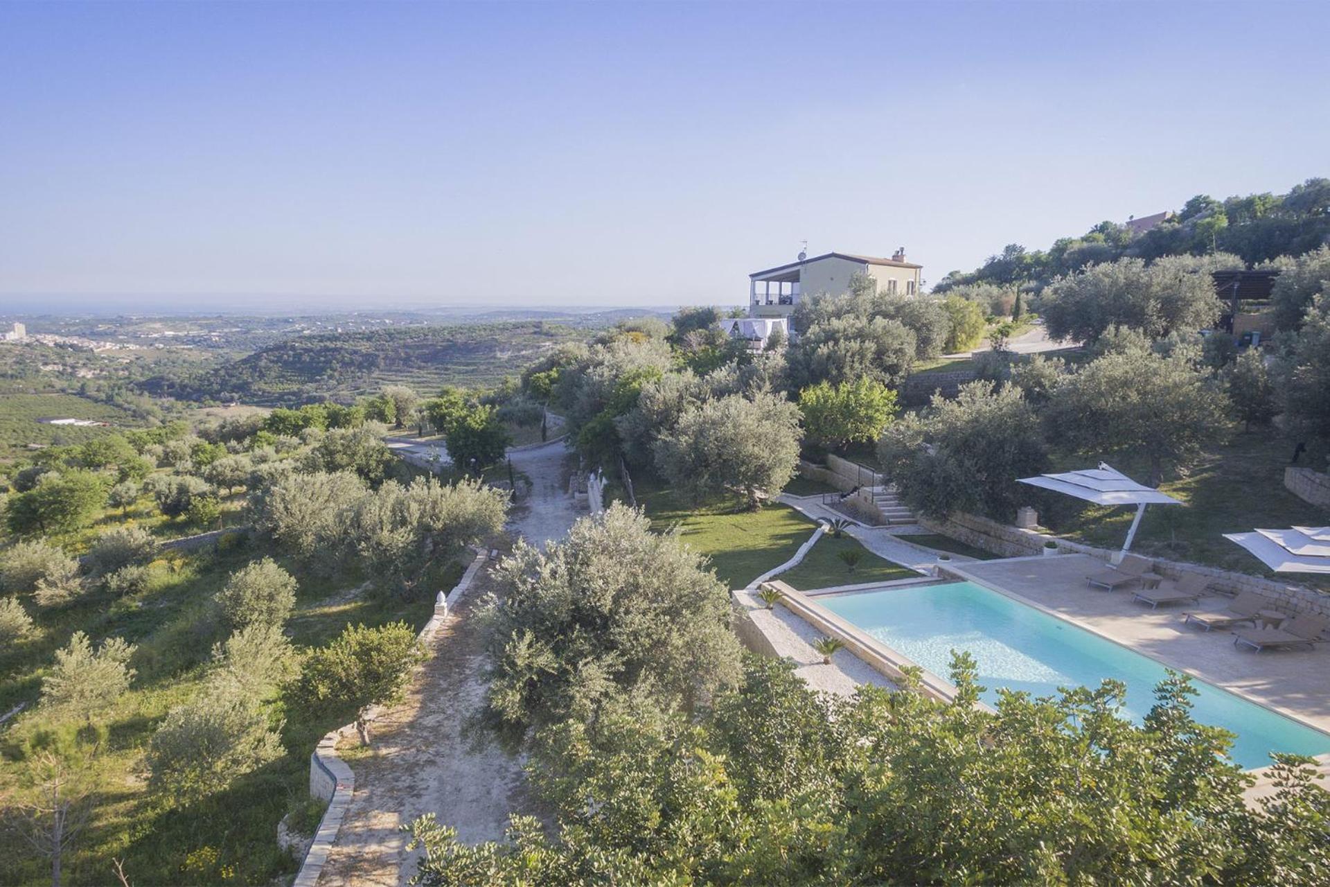Tenuta Olive Alive