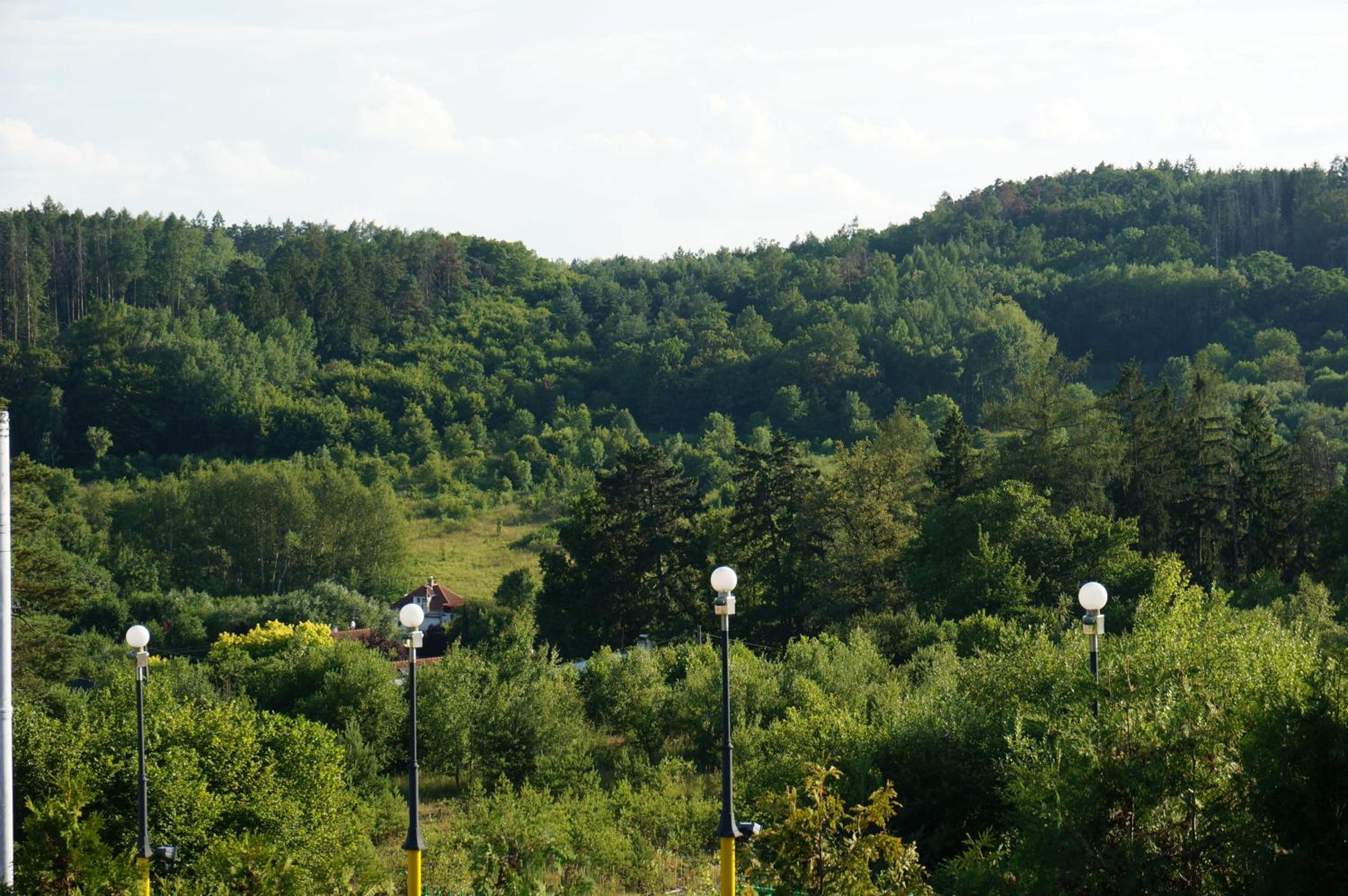 Luxusně zařízený dům v přírodě - Praha Západ