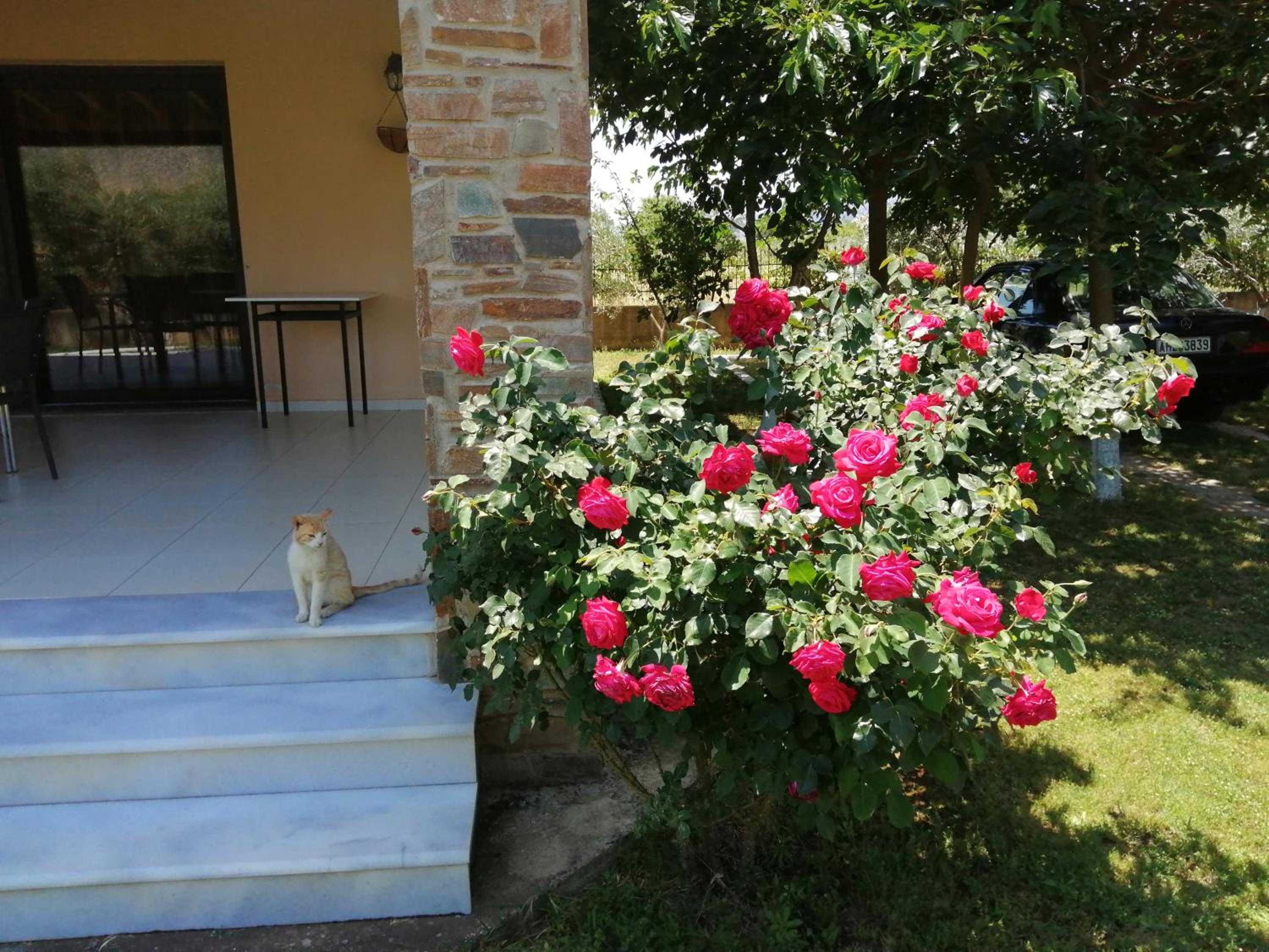 Villa diamond