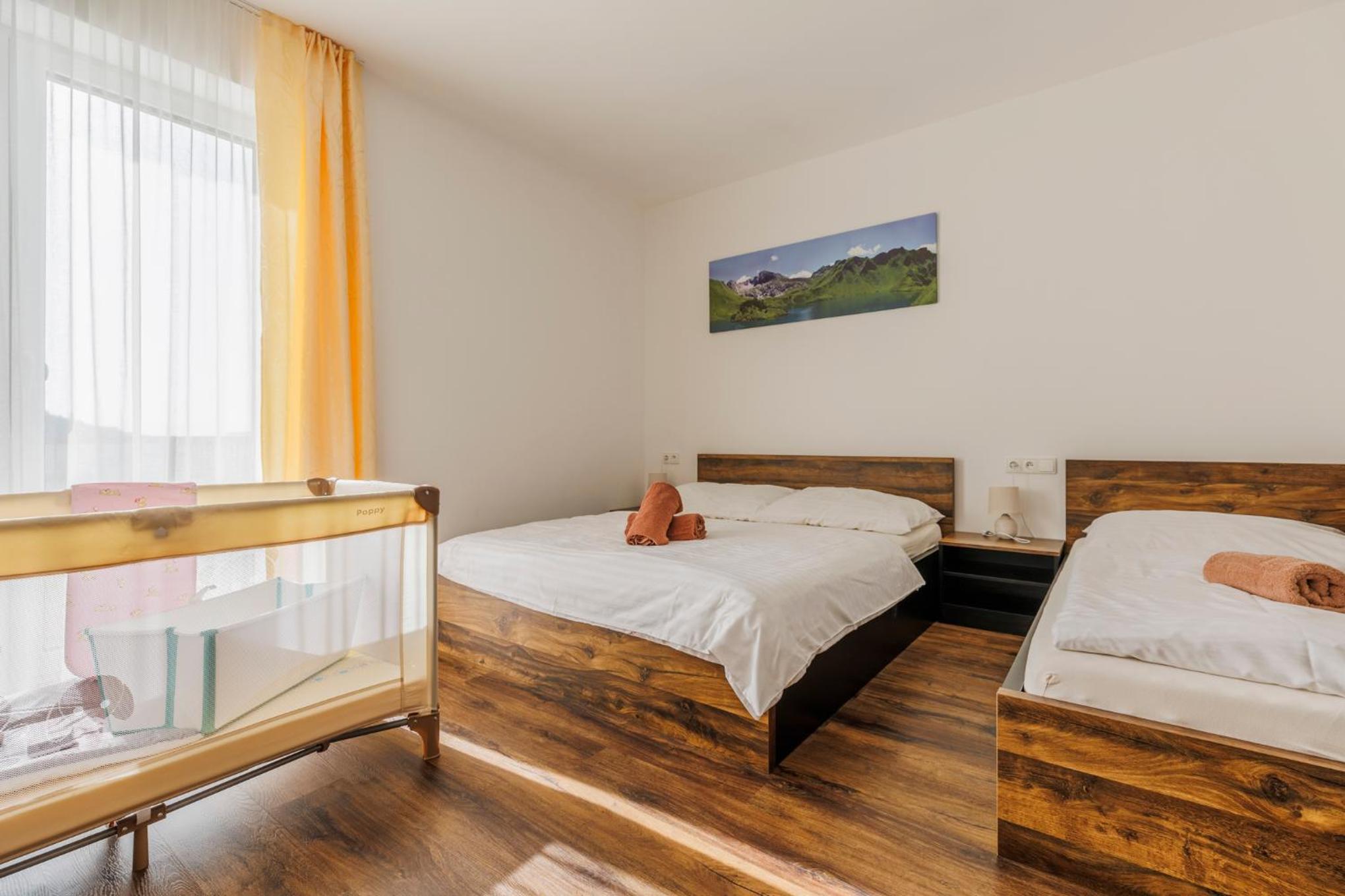 HP APARTMÁNY SKIAREÁL- Buková Hora v Orlických horách 100 m od lanovky