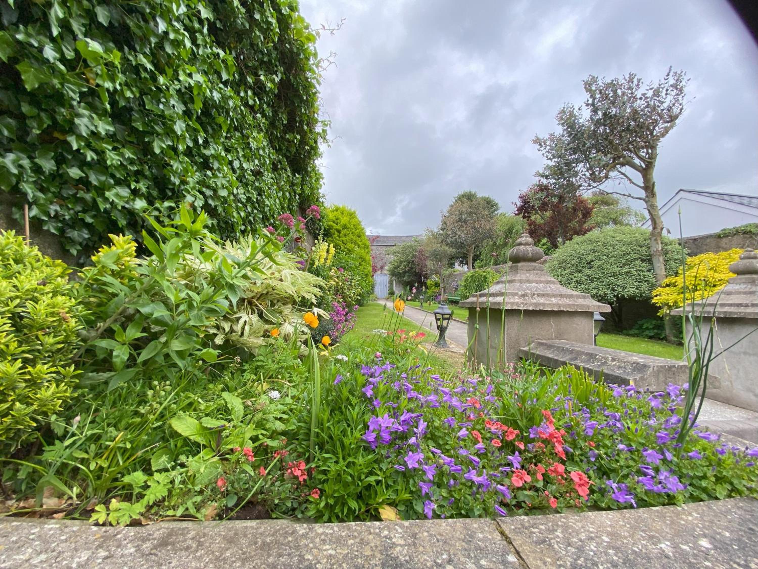 Dolly's Cottage view 4