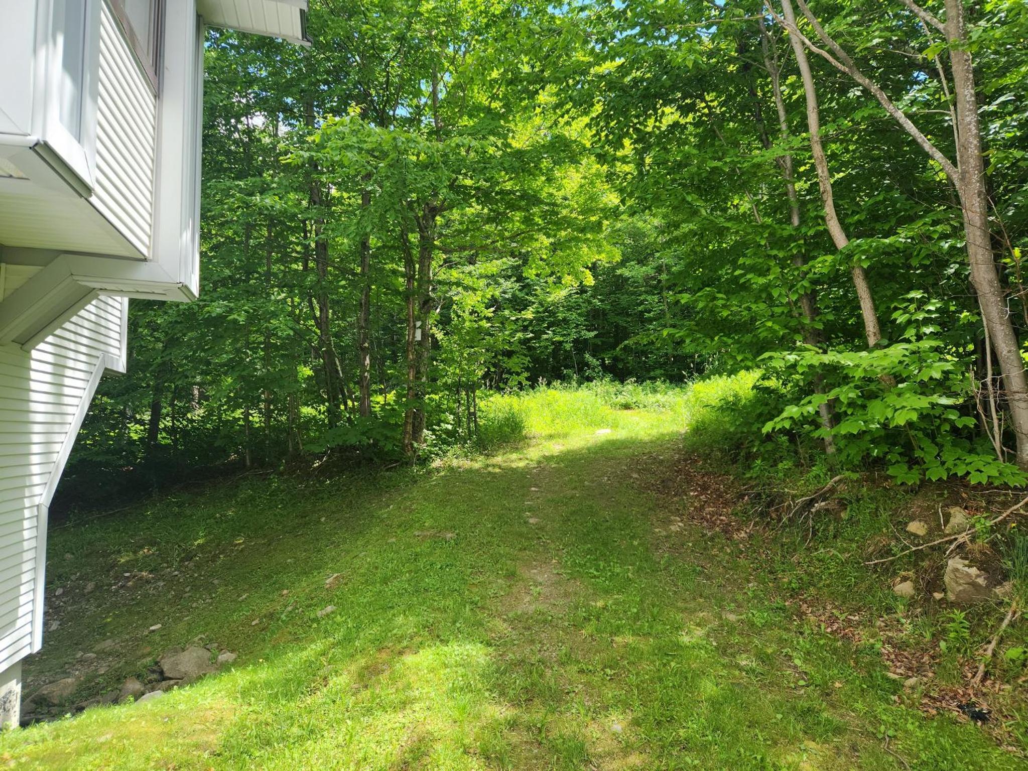 Ski In Ski Out Sunrise West Glade H2 - Direct Trailside, Hot Tub, Pool, Sauna view 2