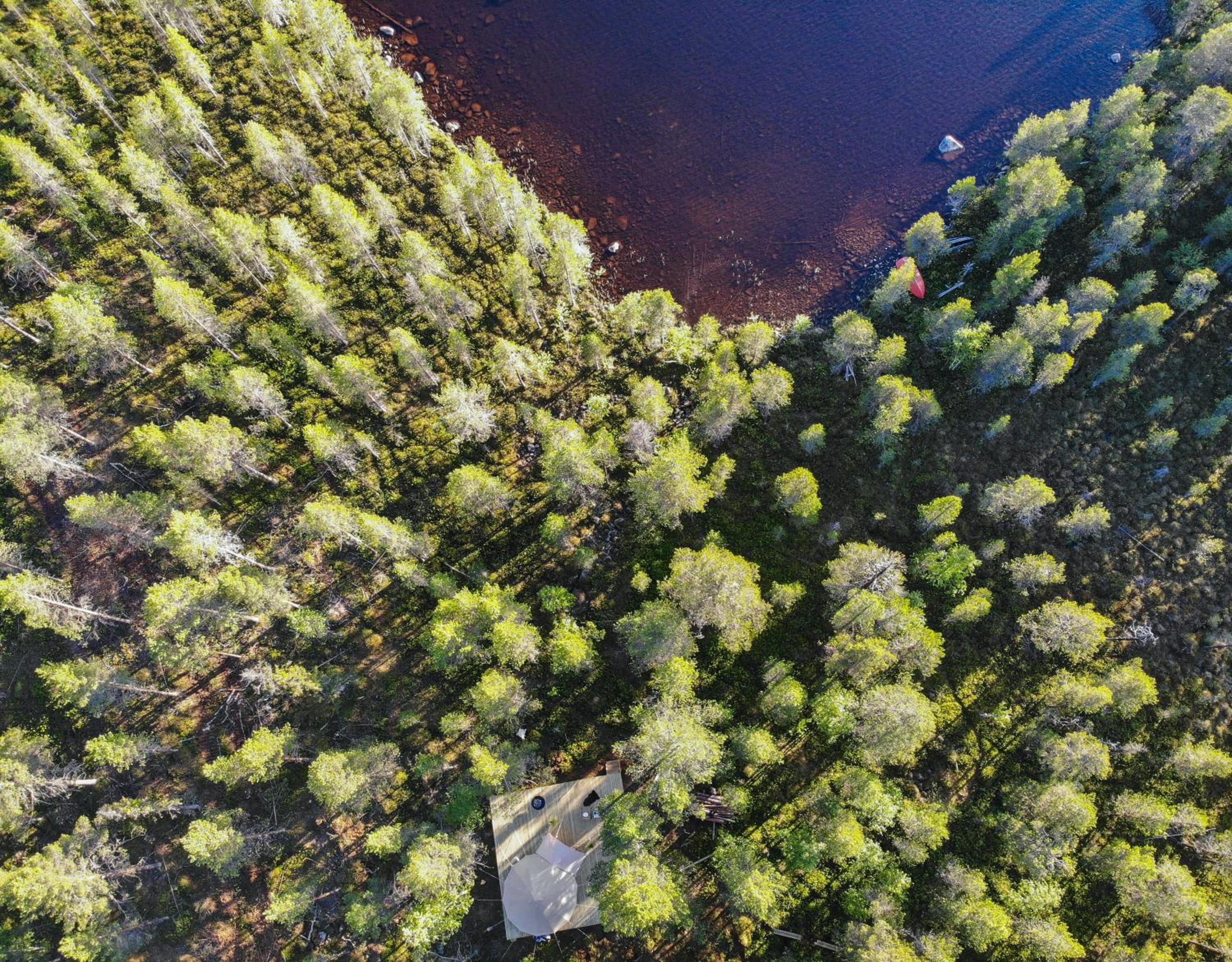 LaplandLiv Glampingtent with private sauna at the lake! view 5